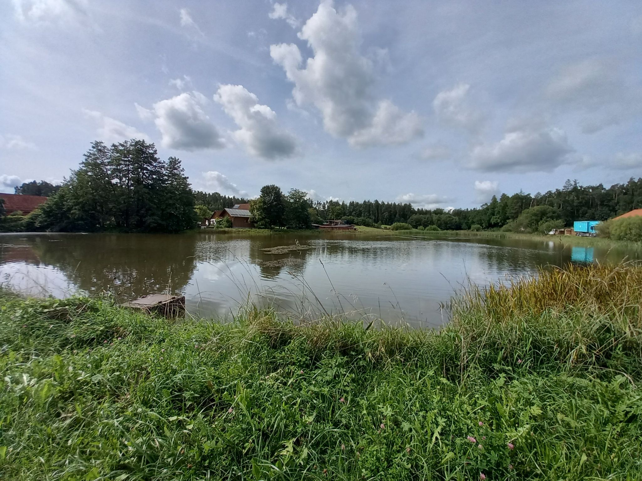 Sehr viele Weiher