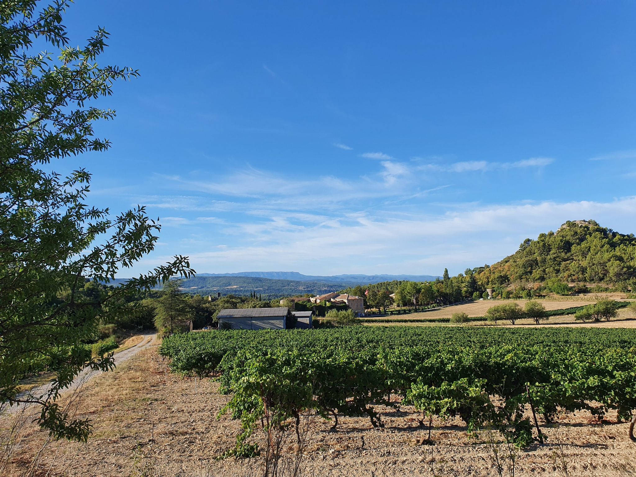 Vitroles en Luberon