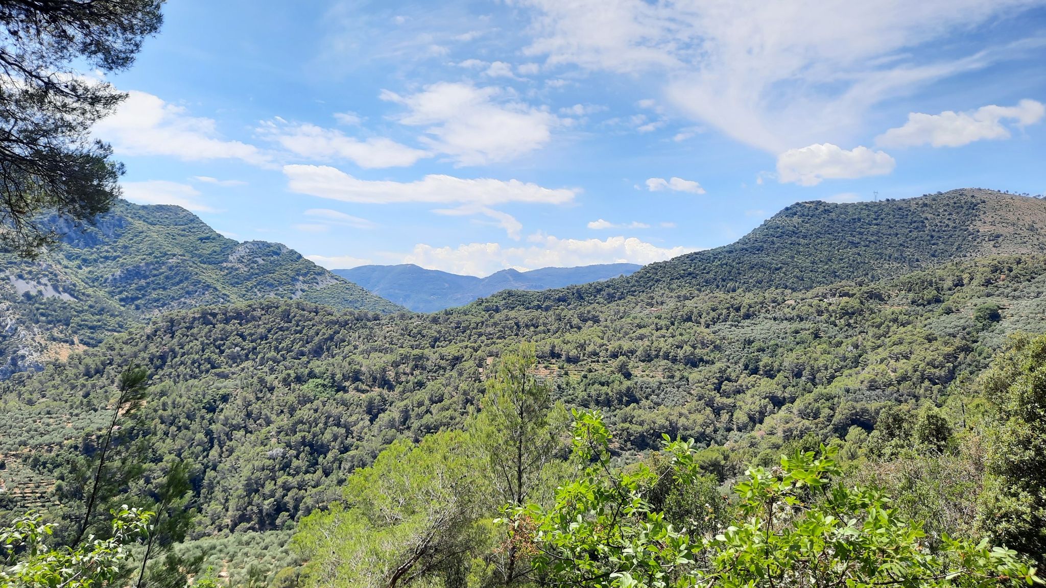 Pique nique devant ce beau panorama.