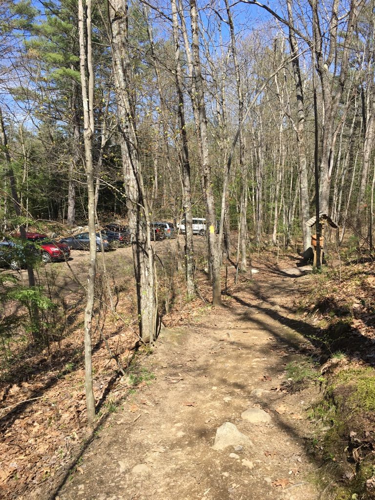 A dirt path leads into a forest with bare trees, cars parked in the background. - Oak Hill Tower Trail Loop