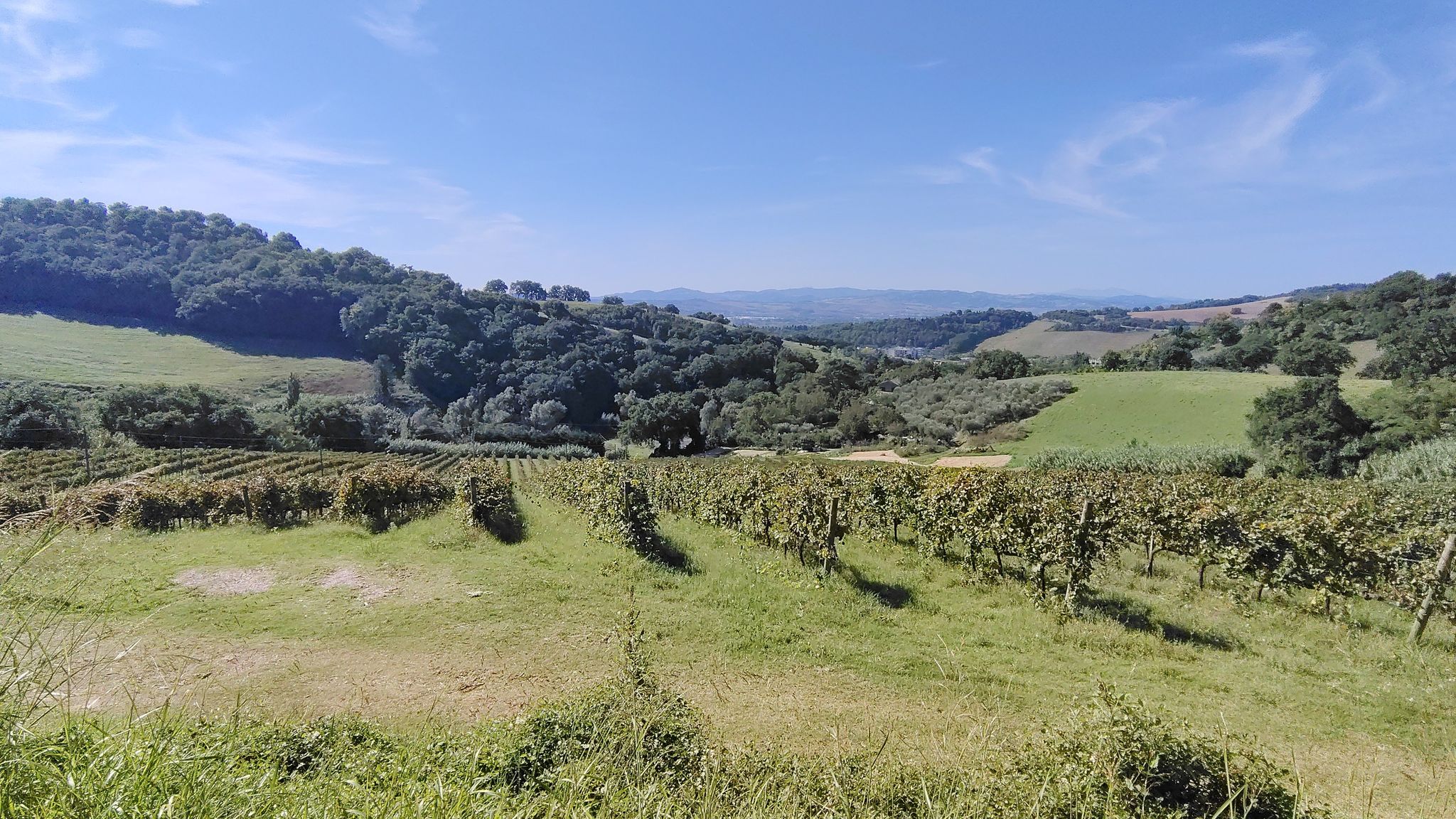 vista su una vallata intorno a Pesaro