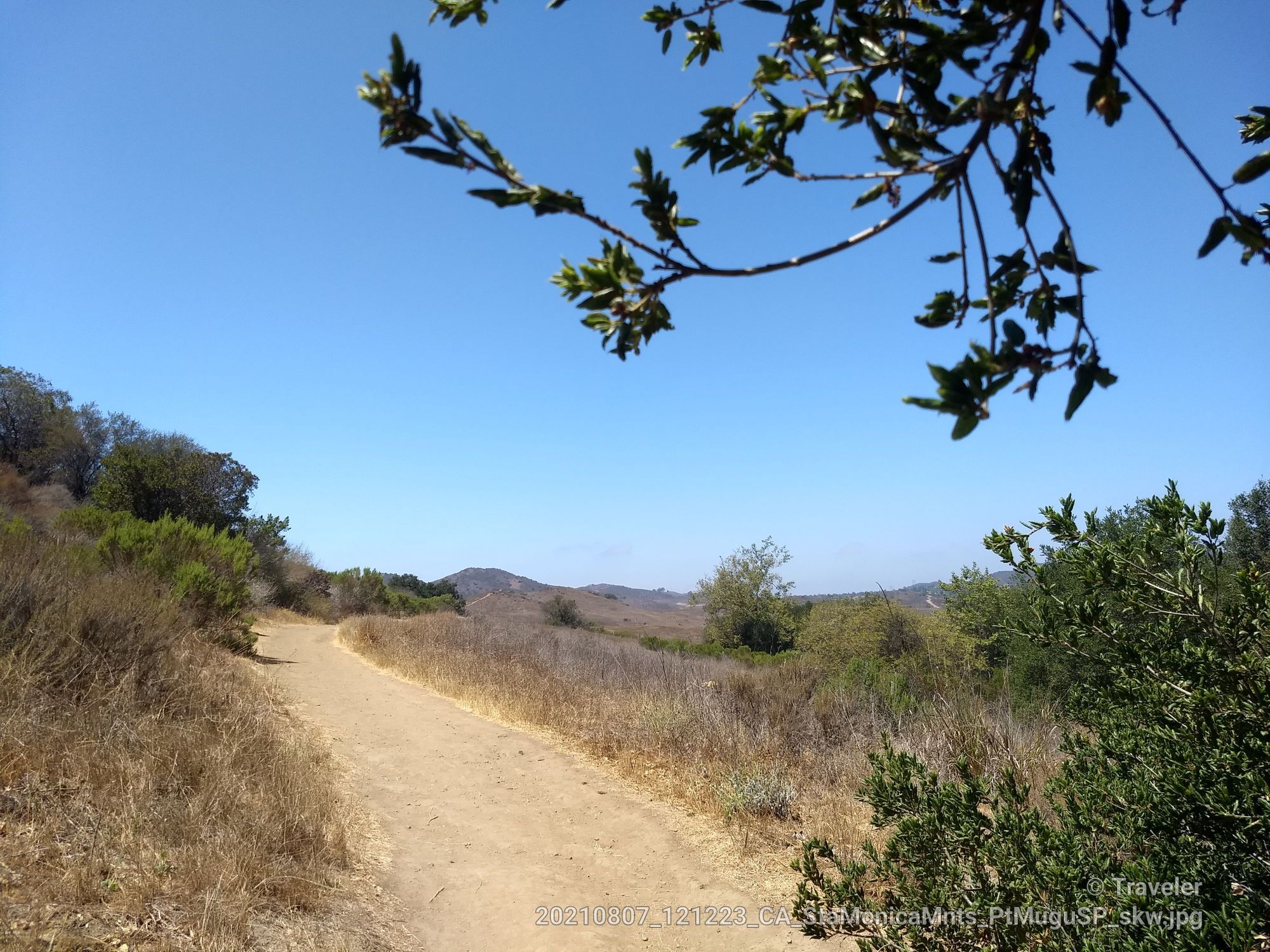 A dirt path winds through dry brush and green trees under a clear sky. - Wildflower Meadow – Upper Sycamore Overlook loop from Potrero Ridge Open Space