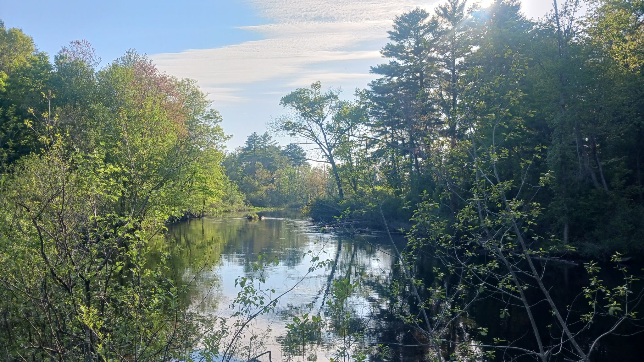 Calm river winding through a lush green forest on a sunny day. - Bay Circuit Trail, Moon Hill