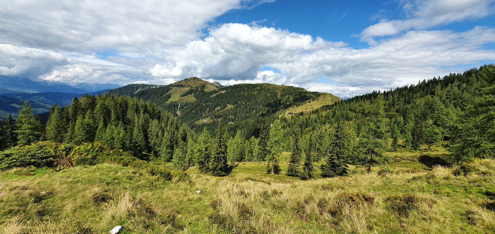 Weisshofalm mit Mooskopf dahinter