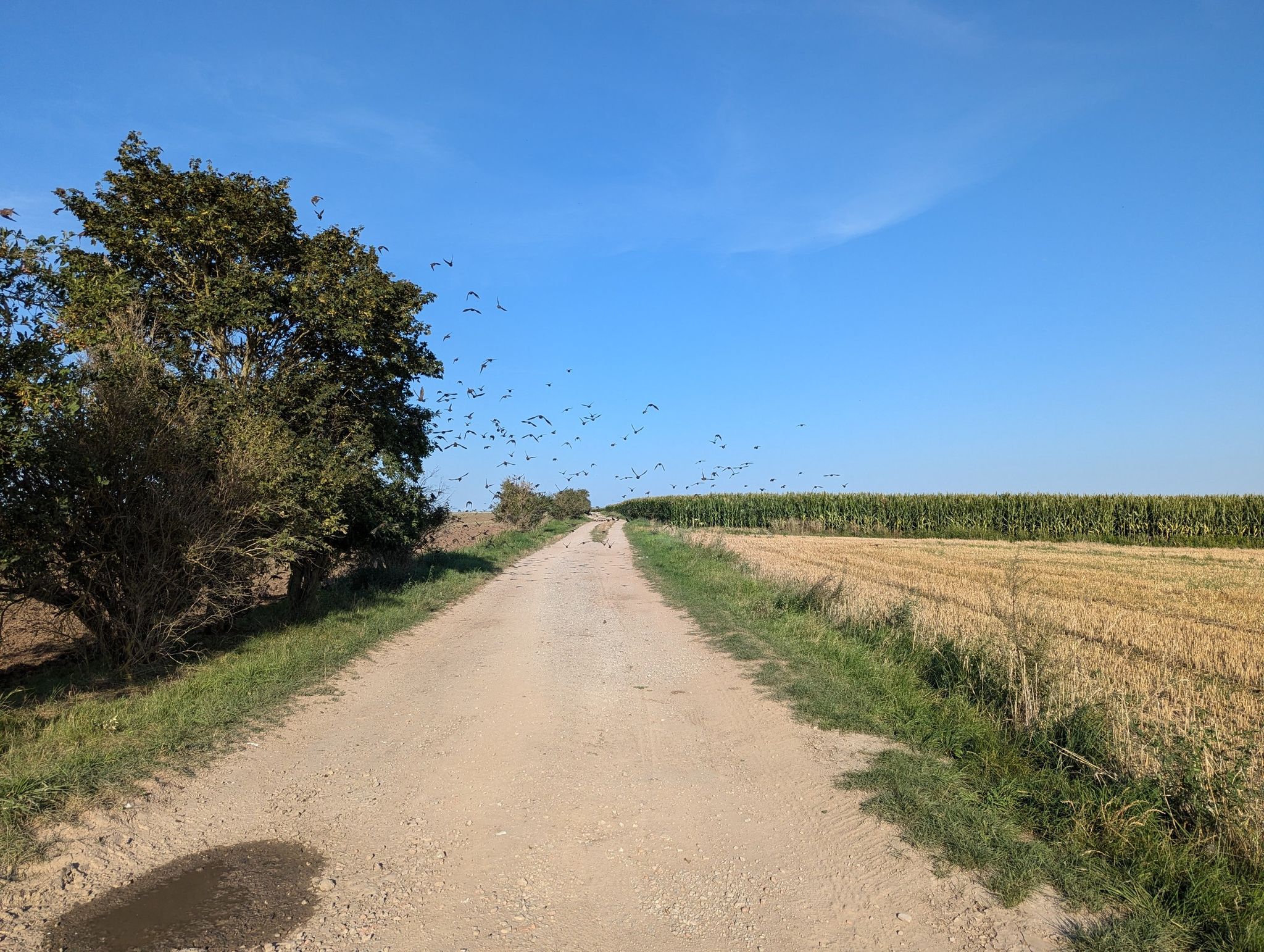 Die Geier warten schon, so langsam wie ich gegen den Wind fahre.