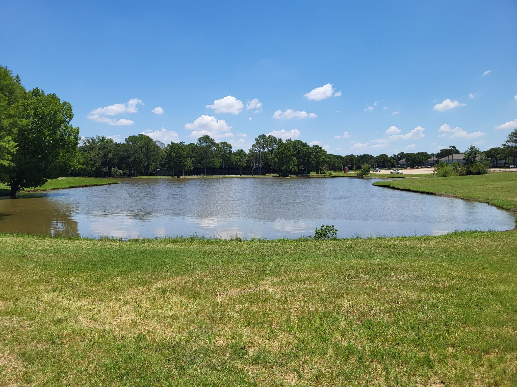 A calm pond reflecting a bright blue sky, surrounded by green grass and trees. - Pink Evening Primrose Trail