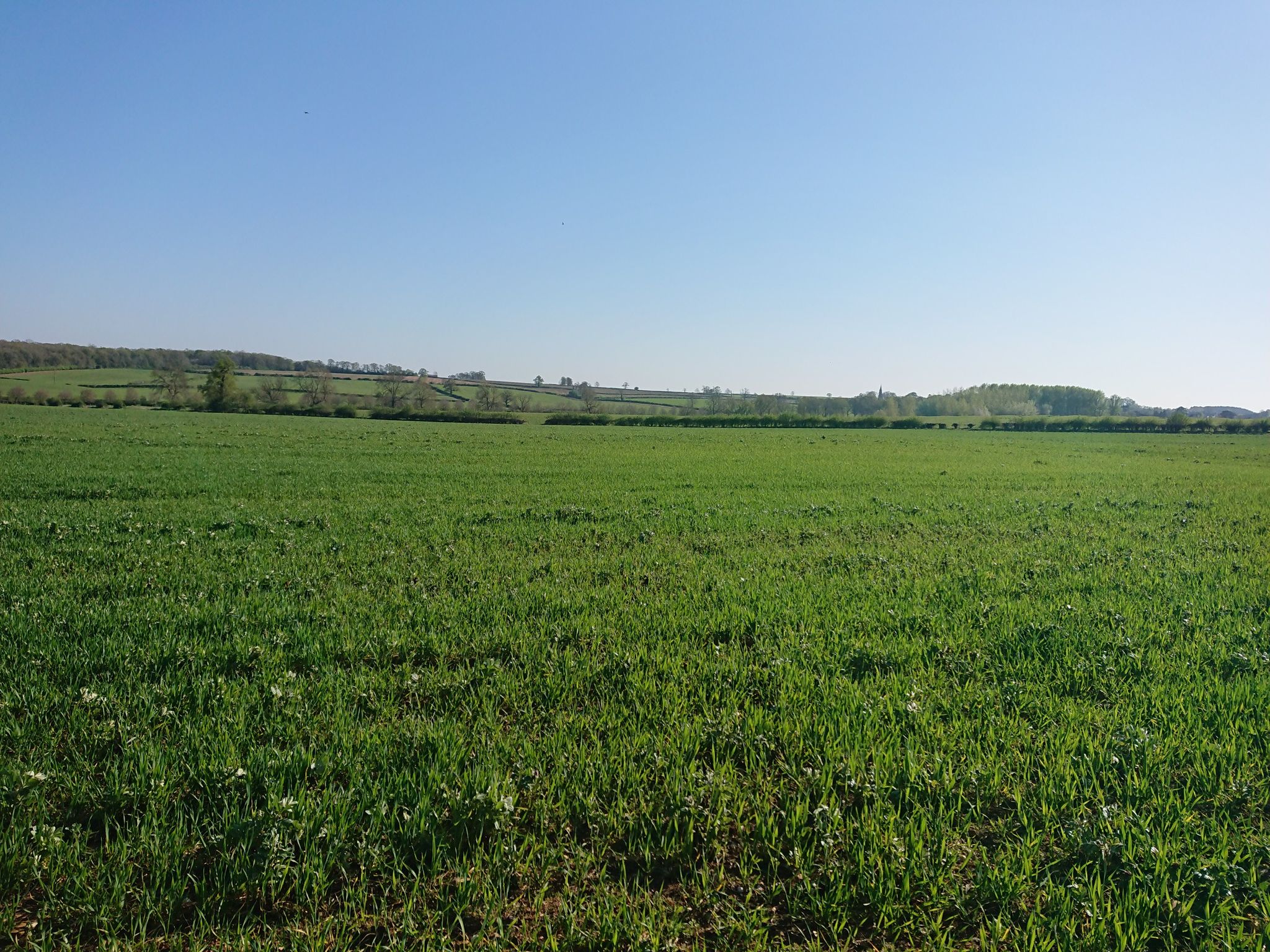 Fields