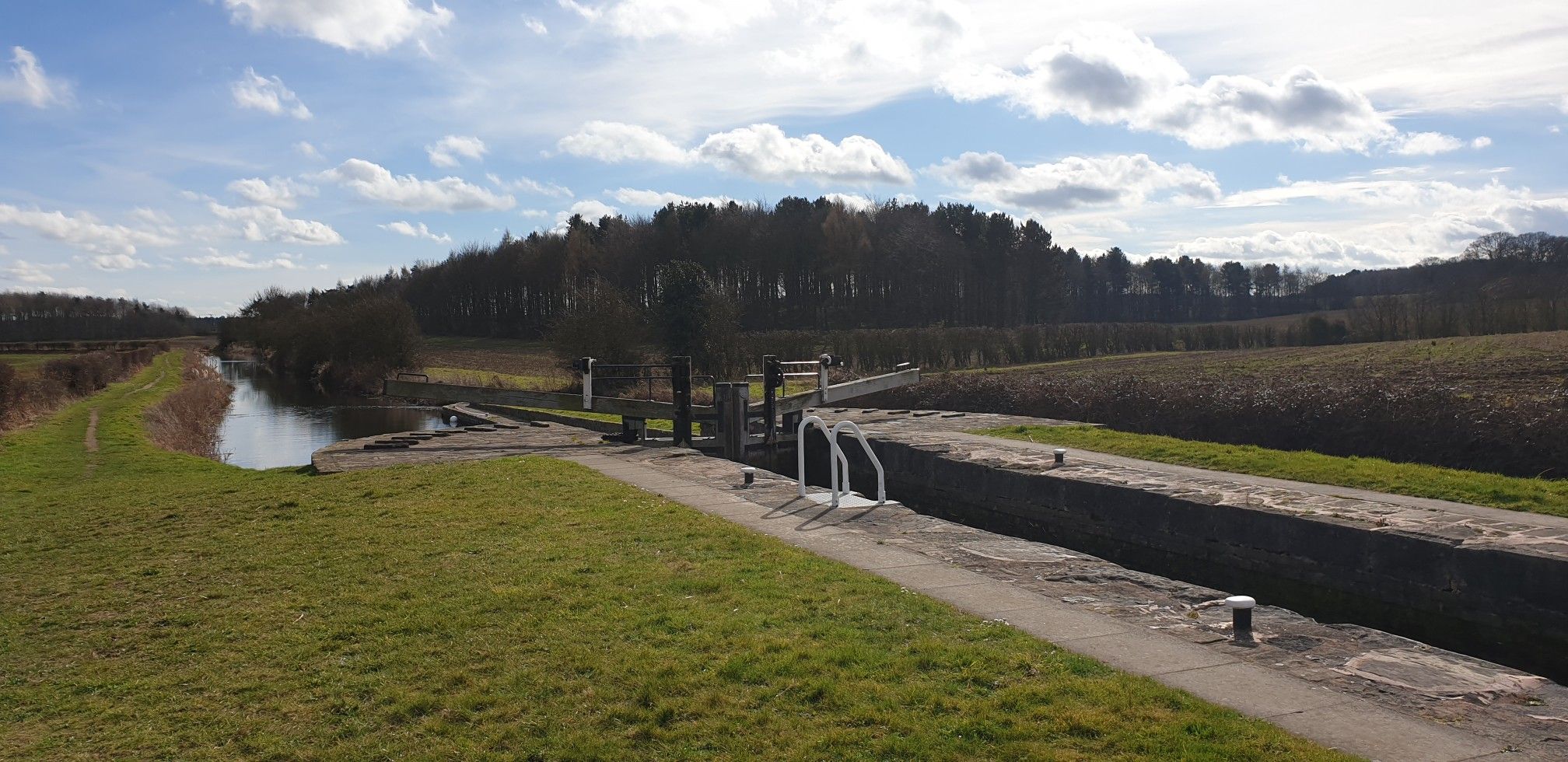 Forrest bottom lock