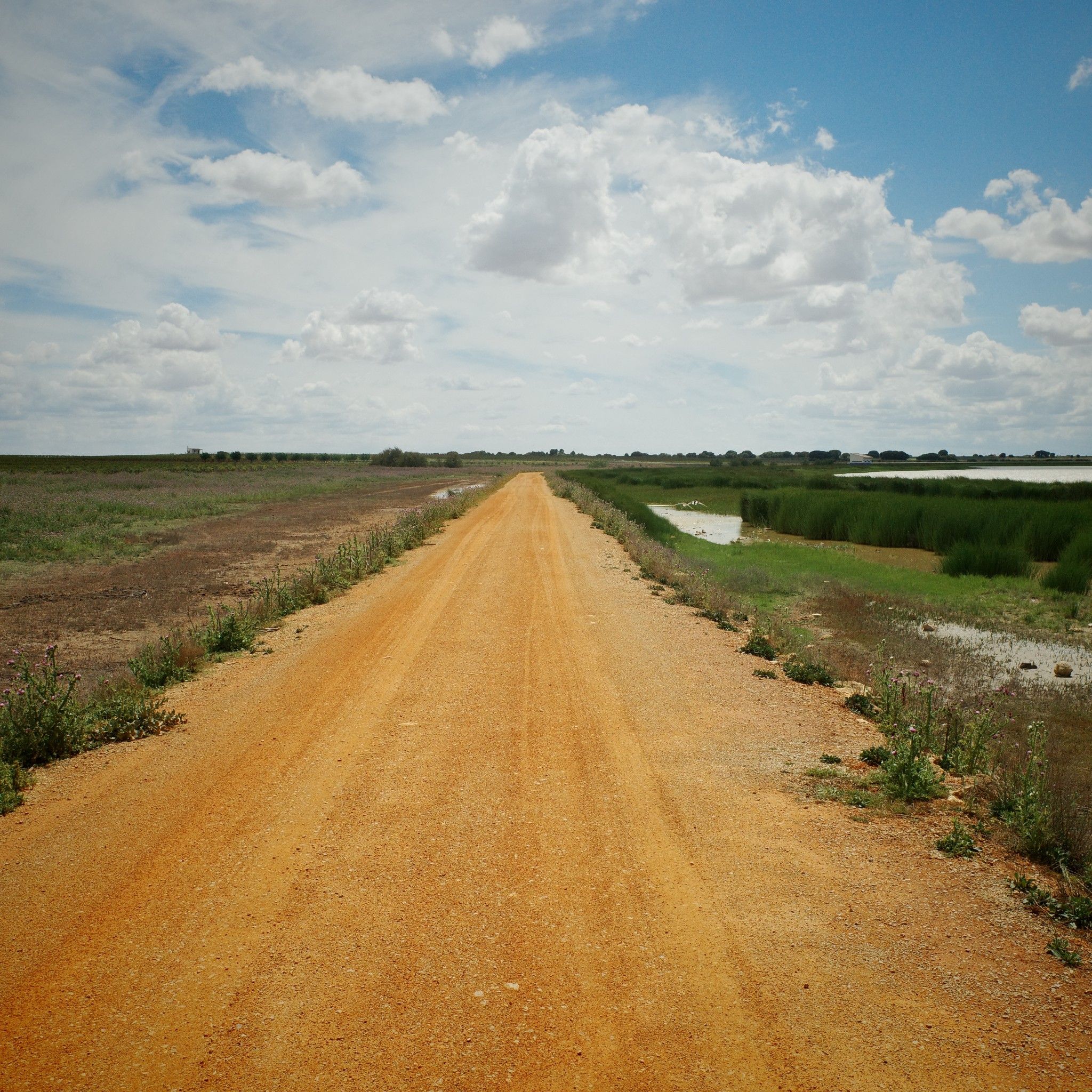 vers la Laguna de Manjavacas
