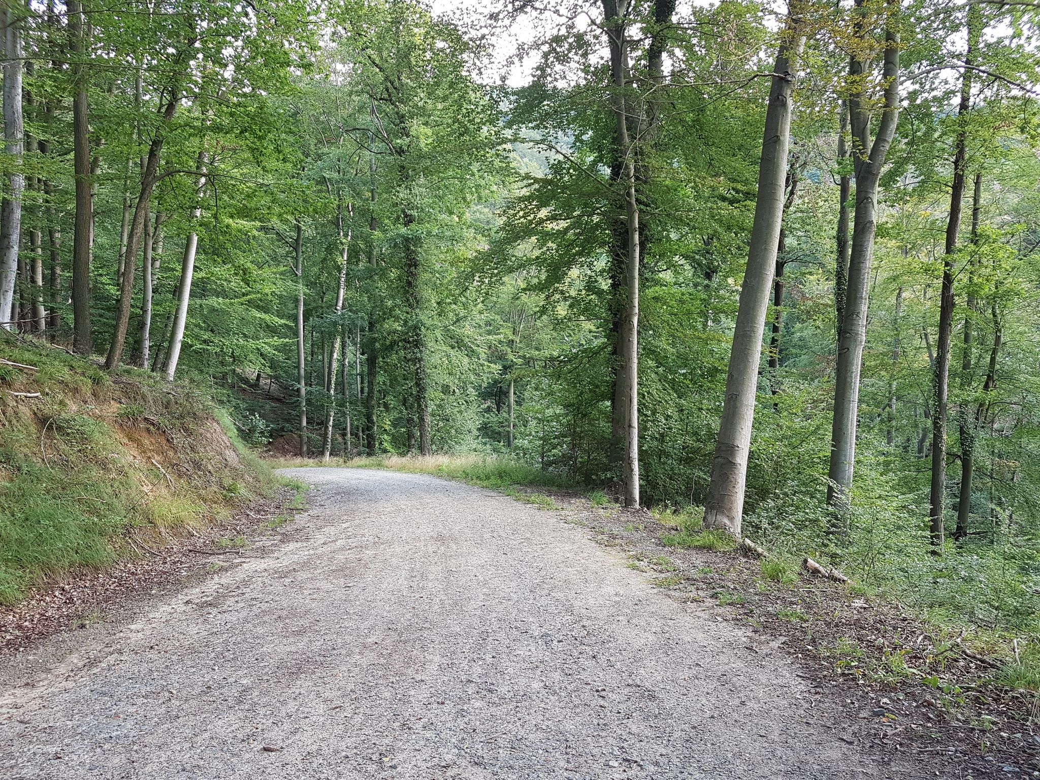 Extrabreites Wegstück