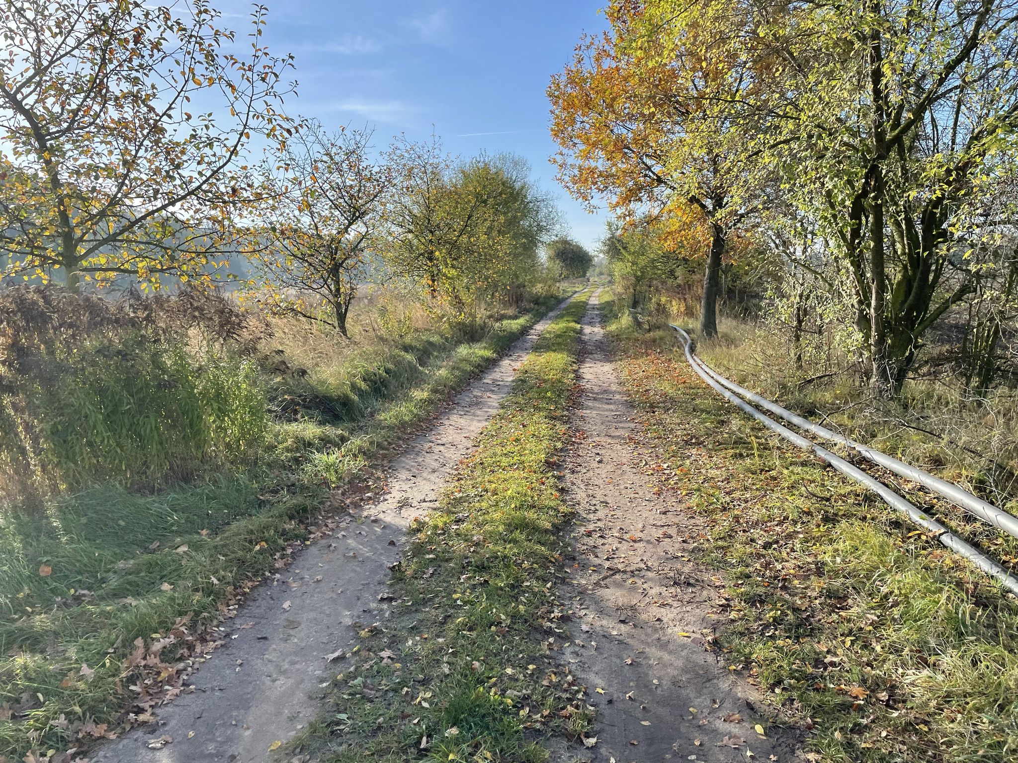 Gut befahrbarer Forstweg