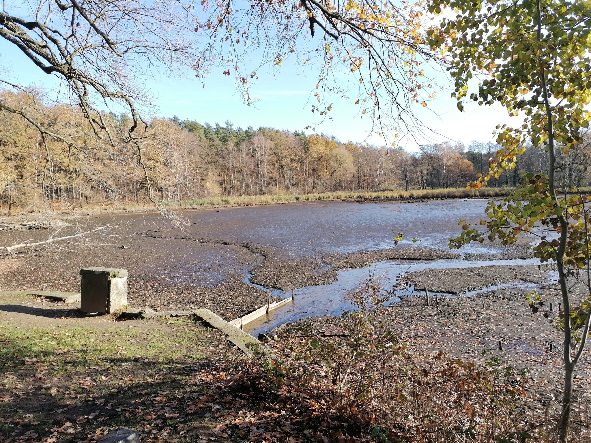 Fünfhufenteich