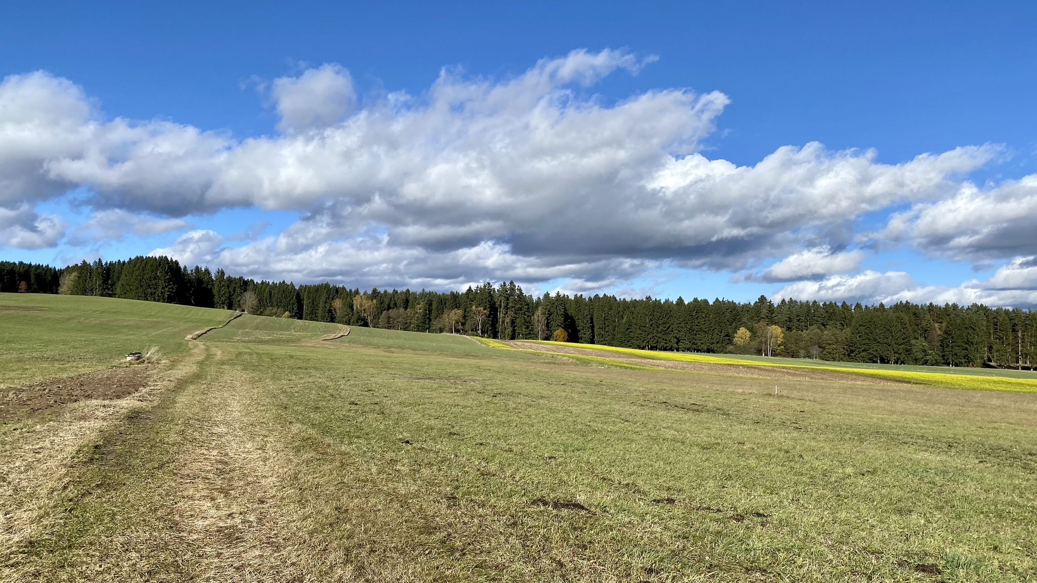 zwischen Rainbach und Kerschbaum