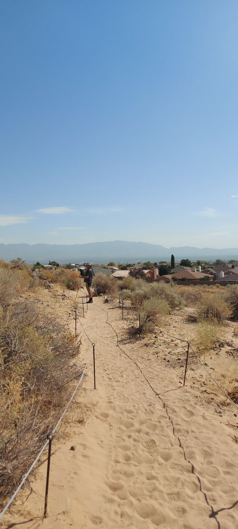 A person walking on a sandy path with rope barriers overlooking a distant town. - Hiking loop from Piedras Marcadas Canyon (Petroglyph Natl Monument)