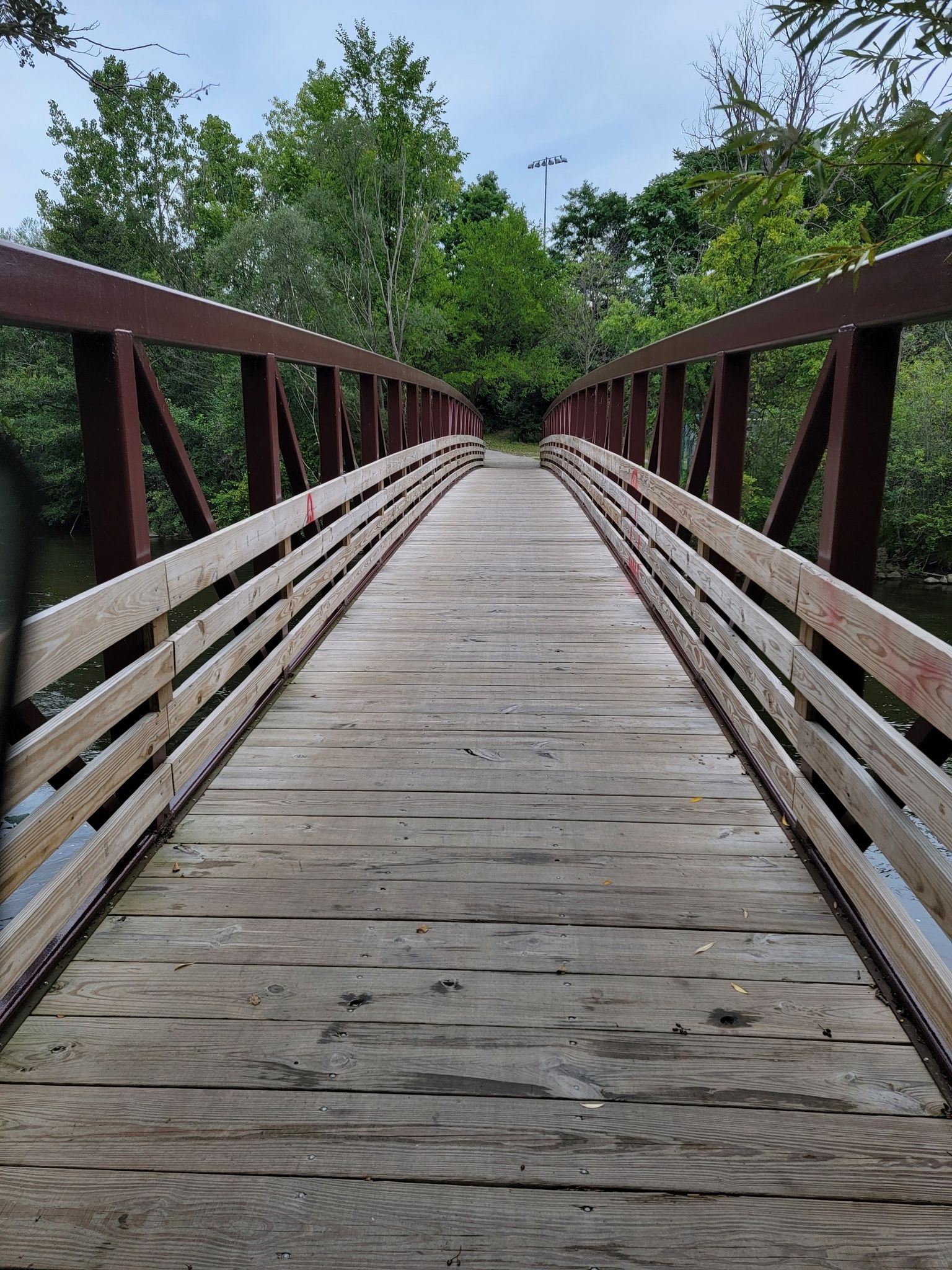 A wooden pedestrian bridge with red metal railings extends through green trees. - Mary Beth Doyle Park Wetlands – Fuller Park loop from Arborland Center