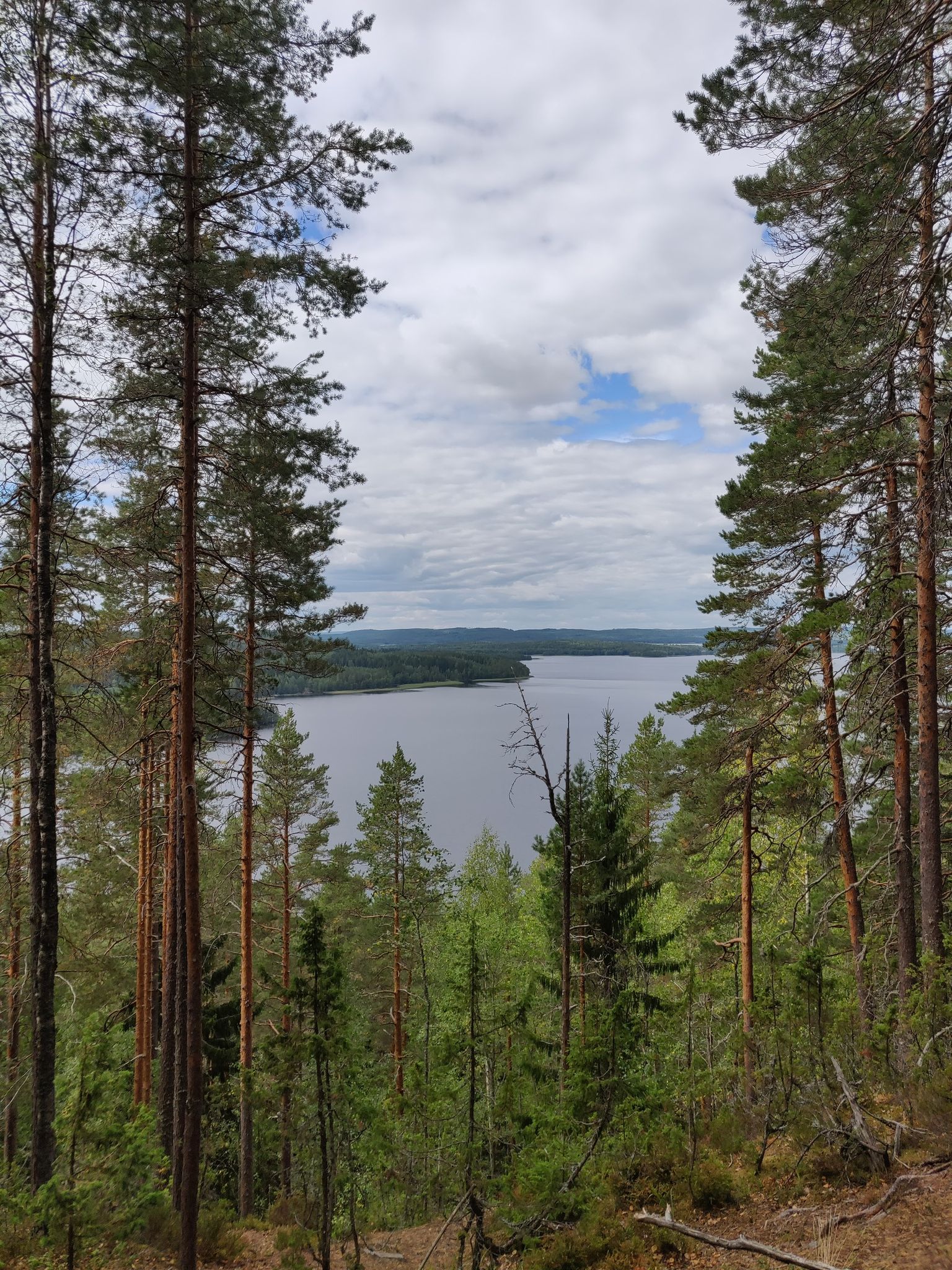The view