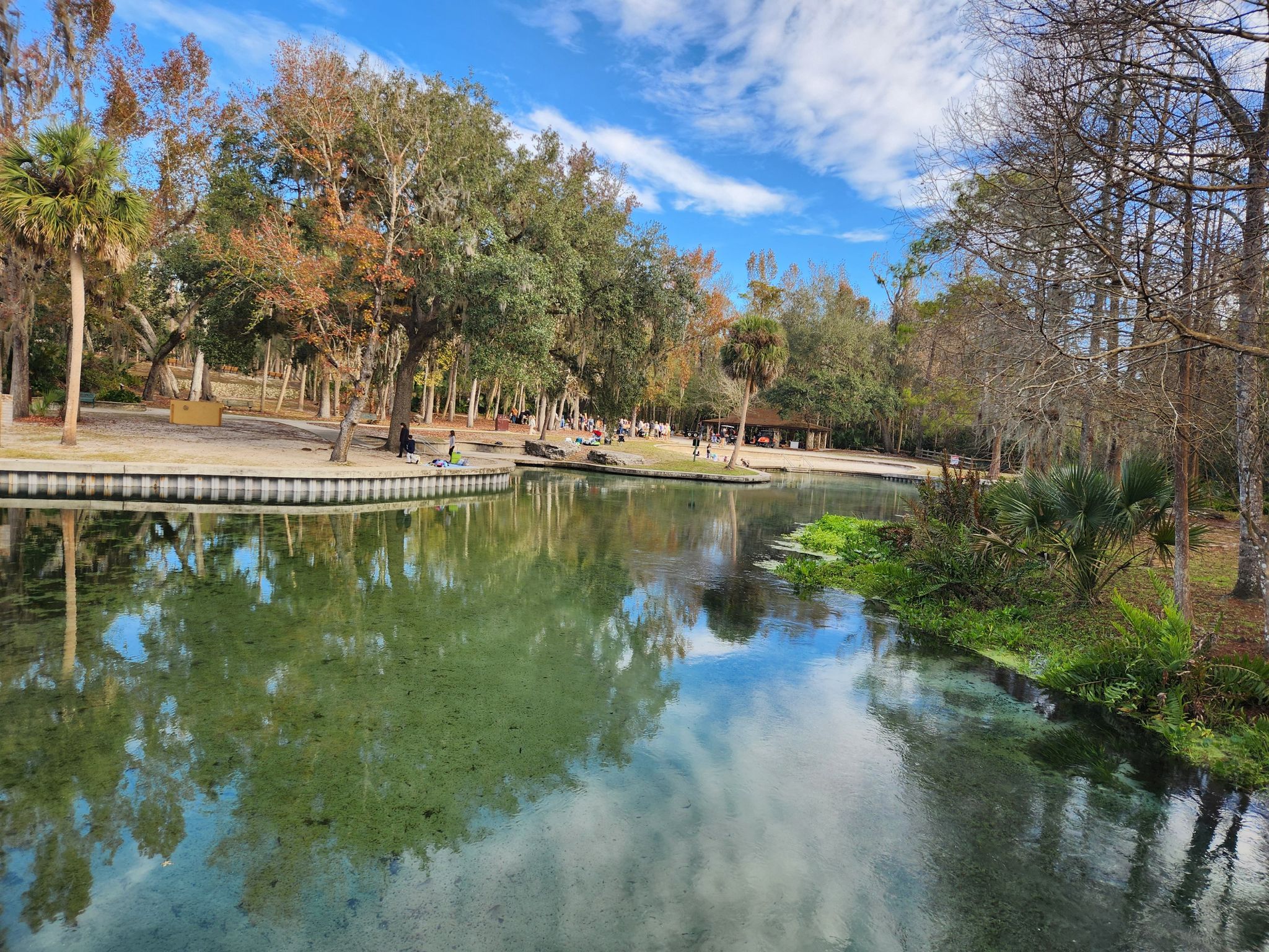 Clear river reflecting blue sky, surrounded by lush trees and people on banks. - Kelly Park Rock Springs Yellow Trail
