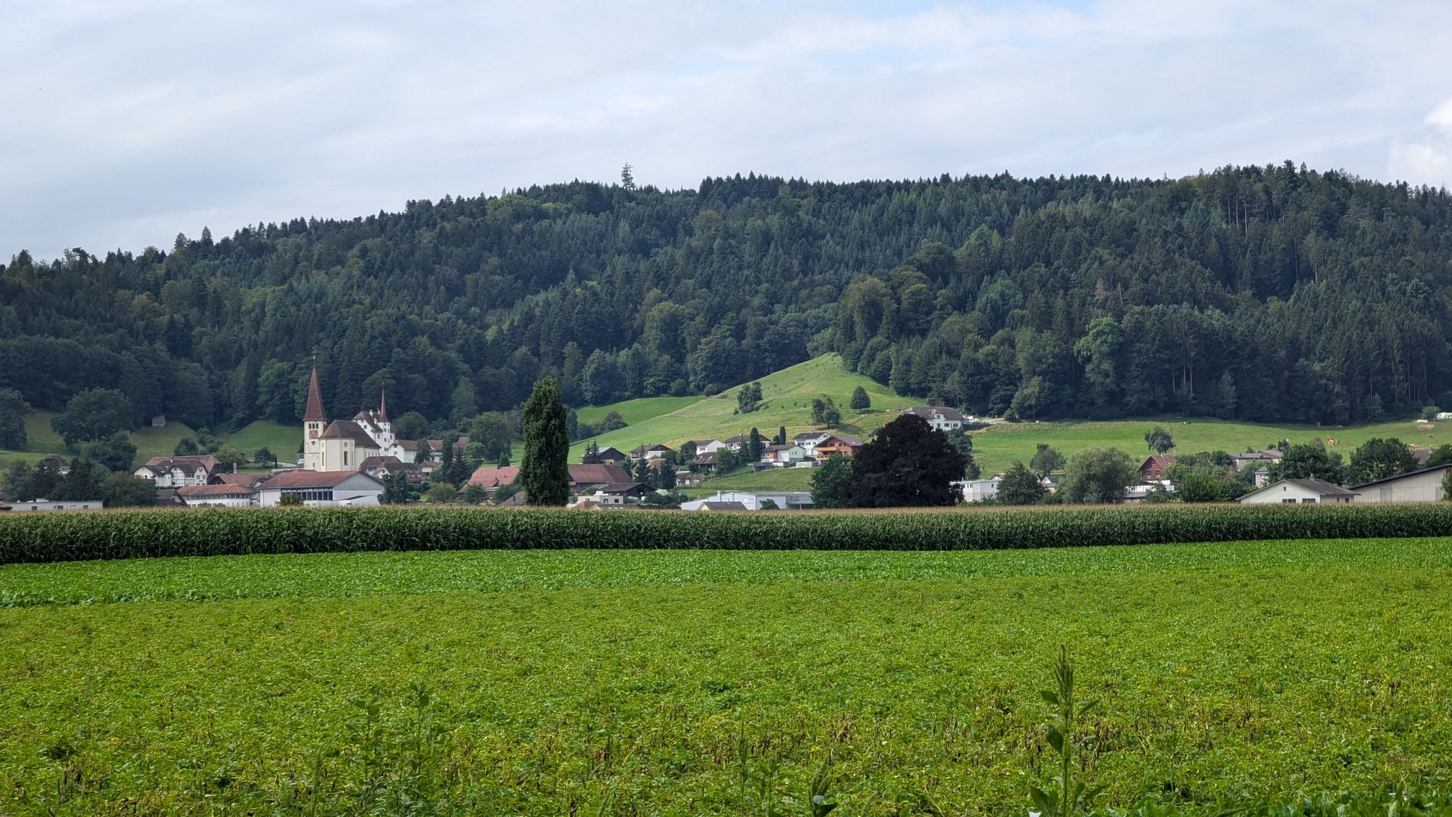Blick nach Altishofen