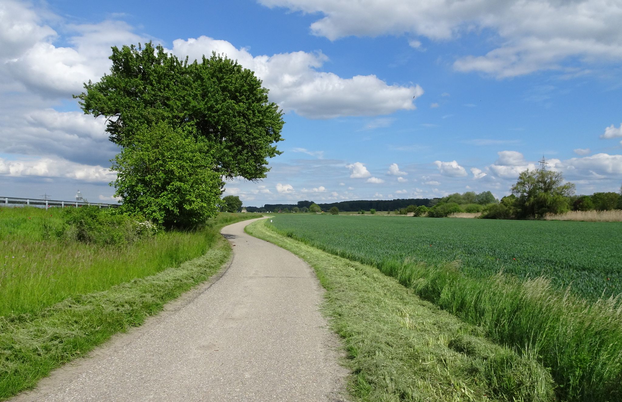 Radweg zum Pfandersee