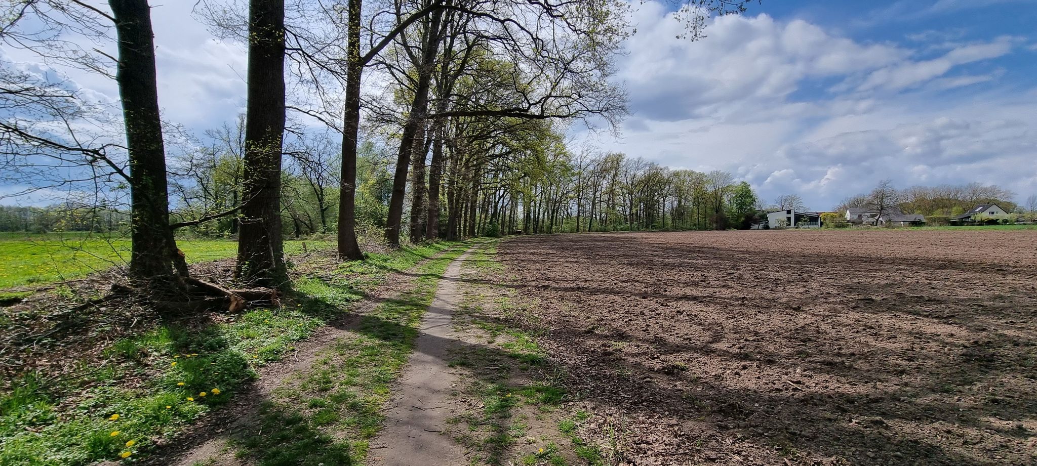 Weg nach Druffel