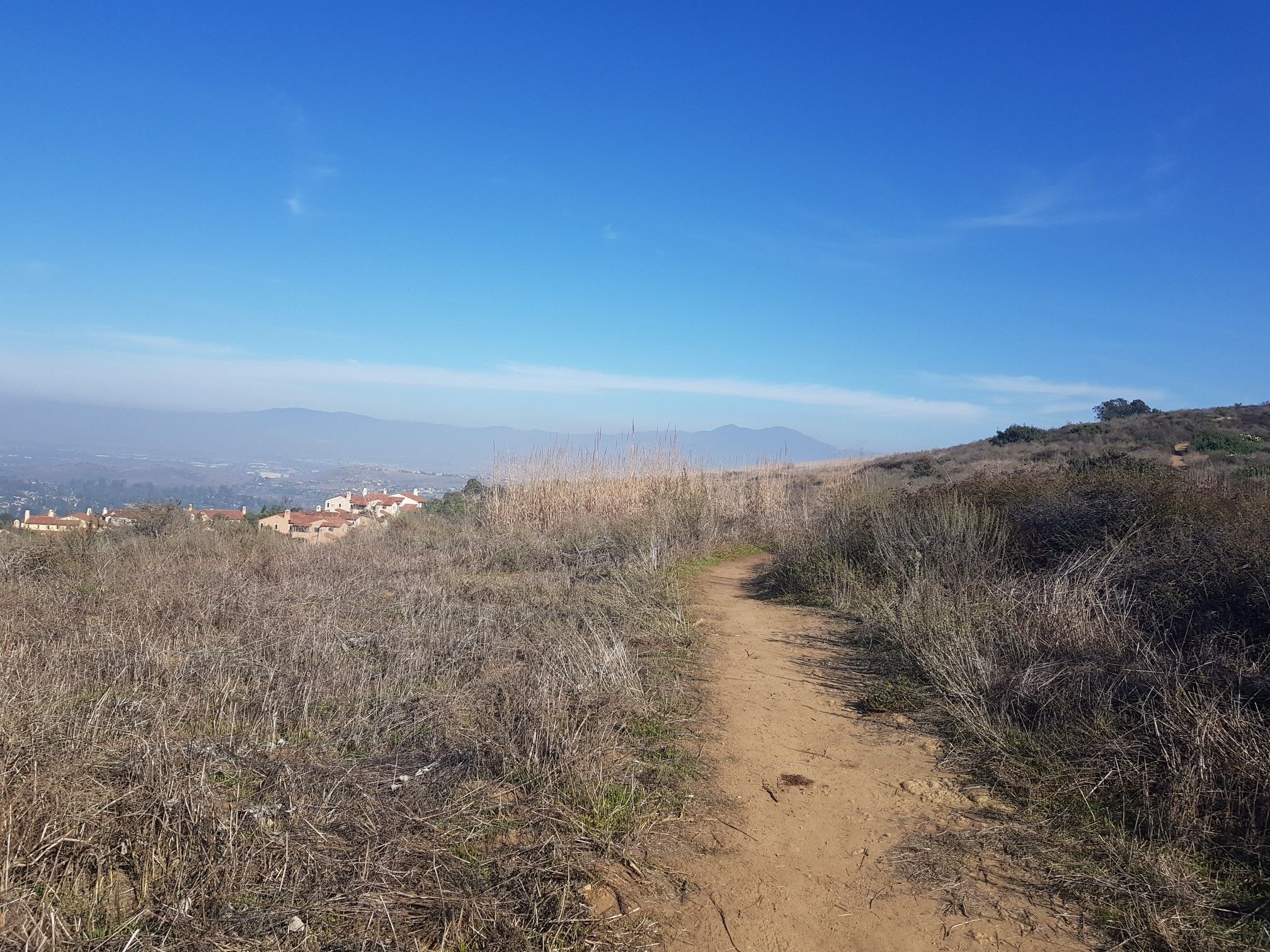 Dirt path through dry grass, distant town, and hazy mountains under blue sky. - Shady Canyon, Turtle Ridge, & Community Trail loop