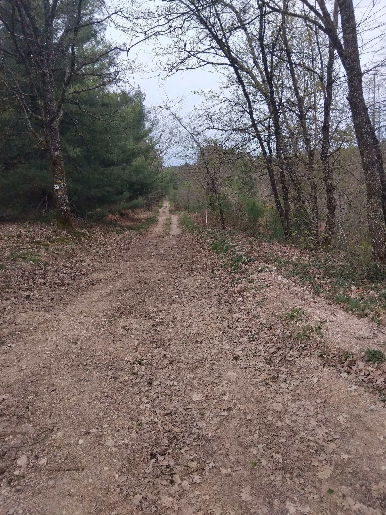 chemin parc frau