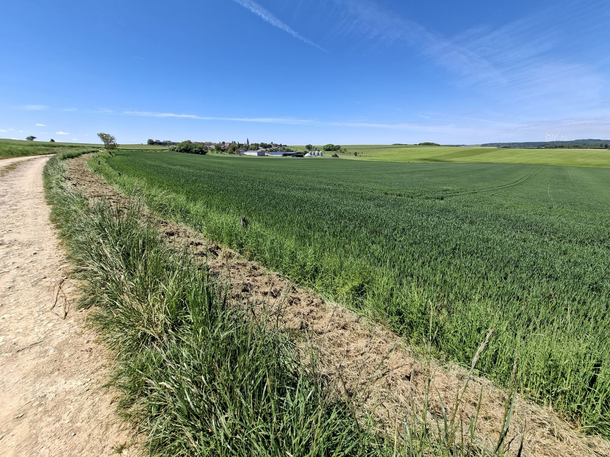Felder bei Badonvillers