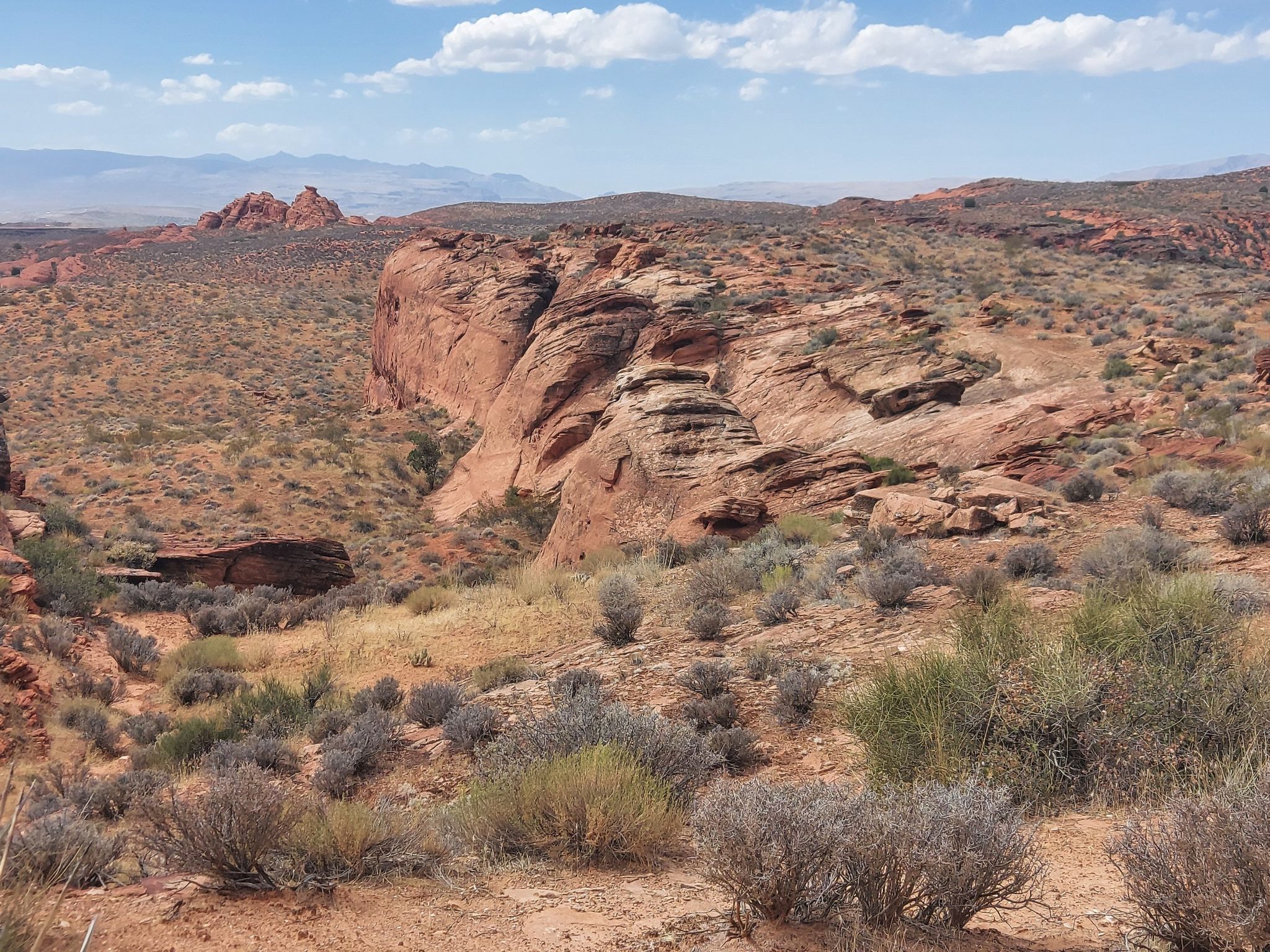Expansive desert landscape with red rock cliffs and scattered low-lying vegetation. - Cottonwood Hills and Prospector Trail Loop