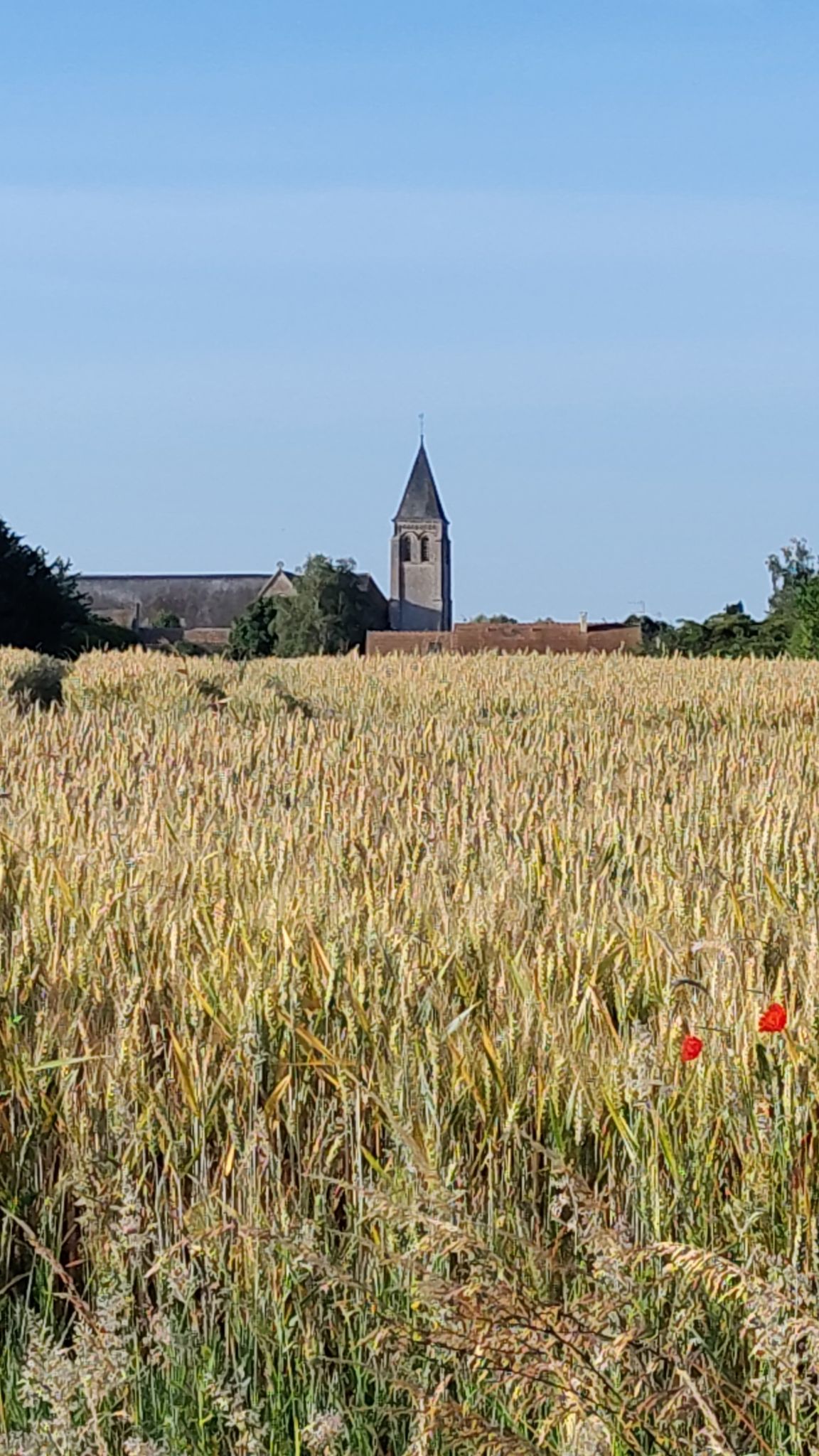 Eglise du bailleul