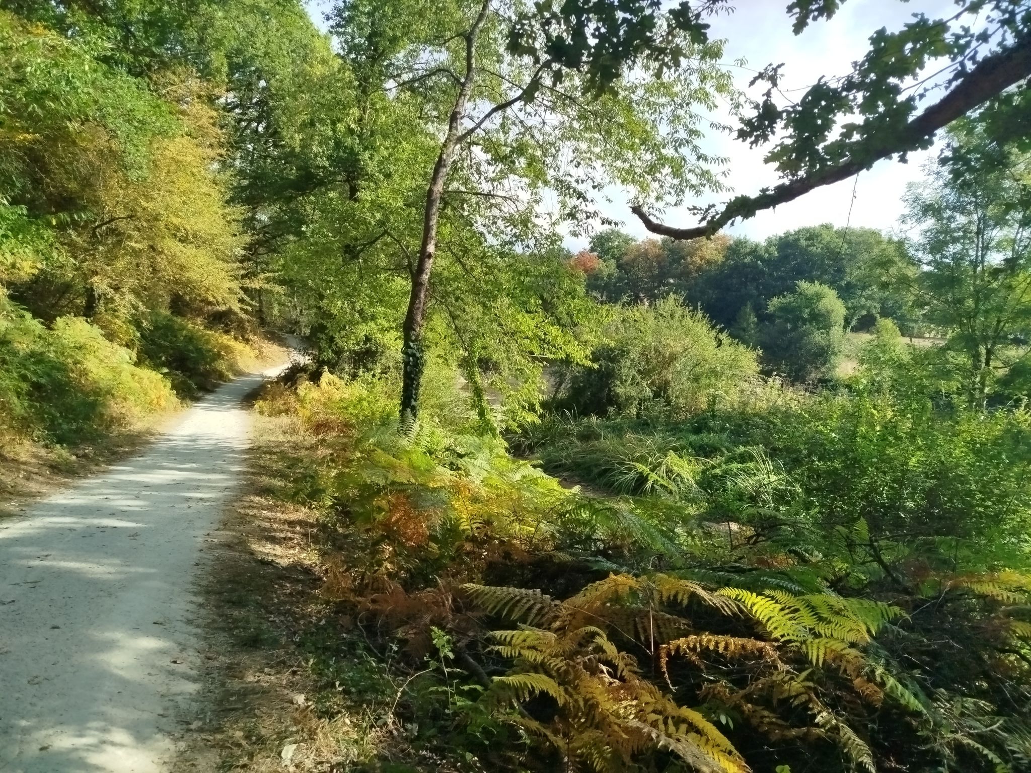 Vallée de Poupet