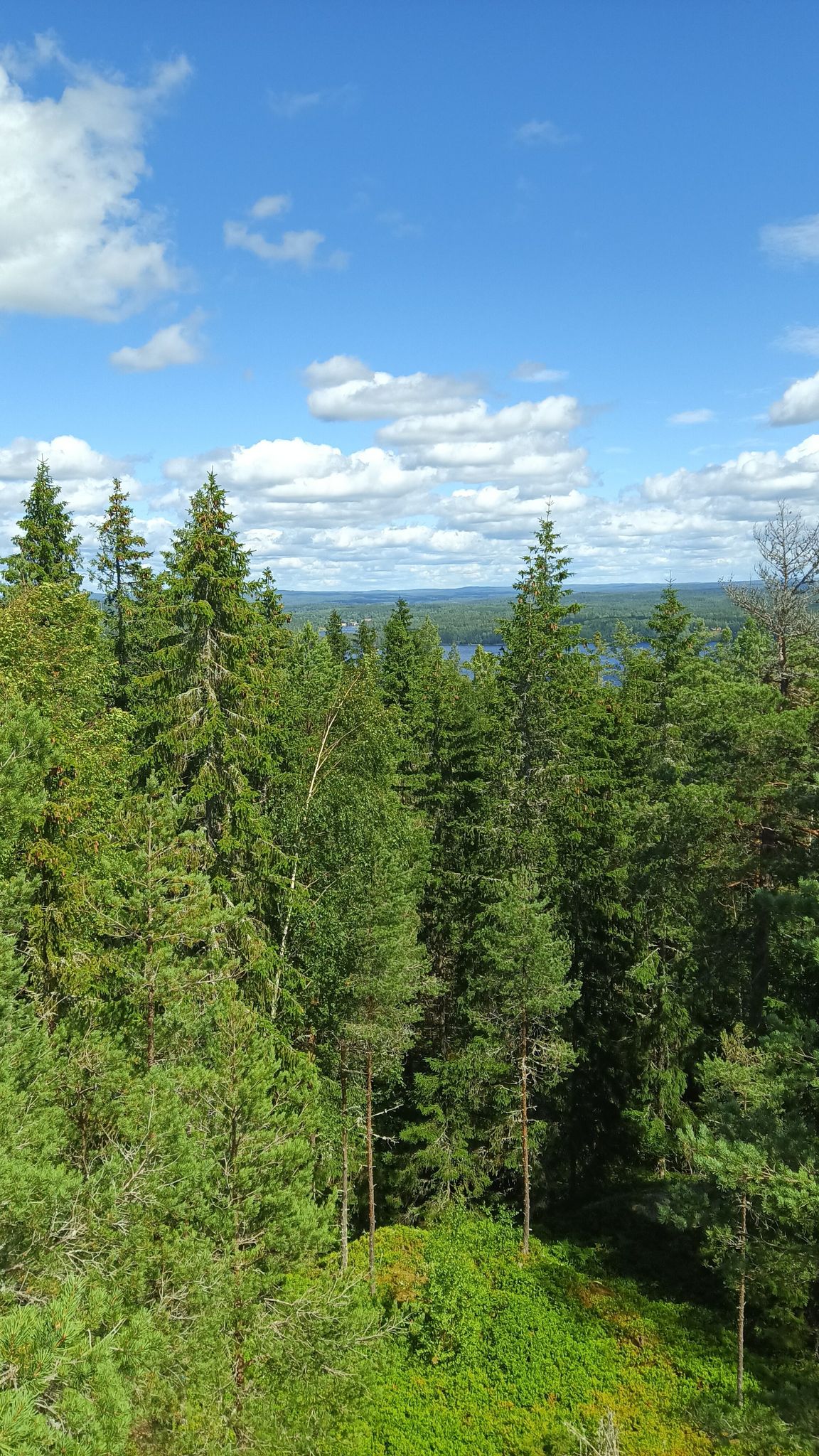 Blick nach Gustavsfors