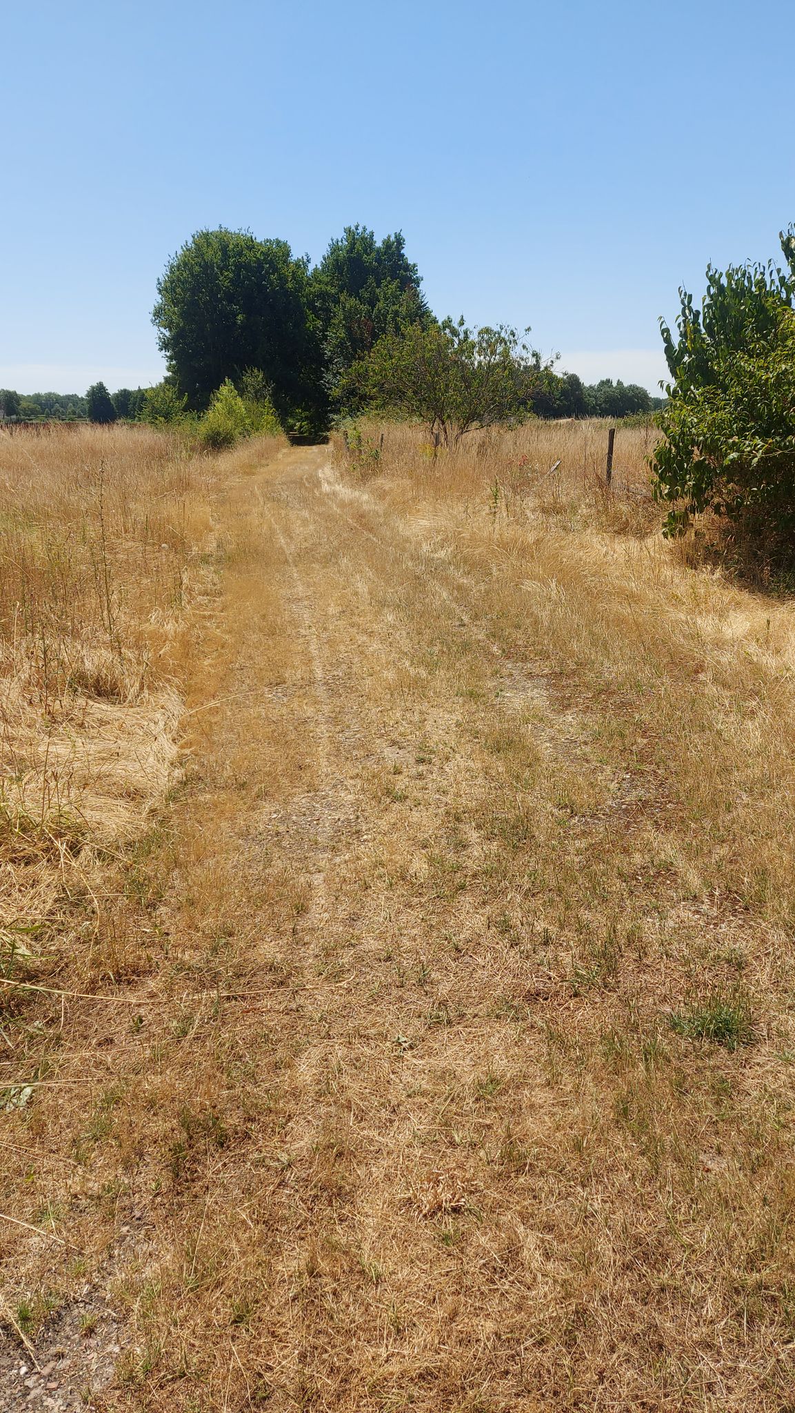 fin des 30 km de VV abritée et roulante