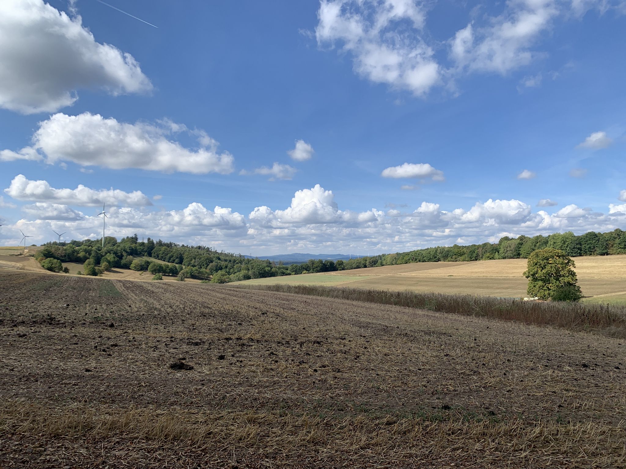 Fernsicht zum Eisenberg Oberaula