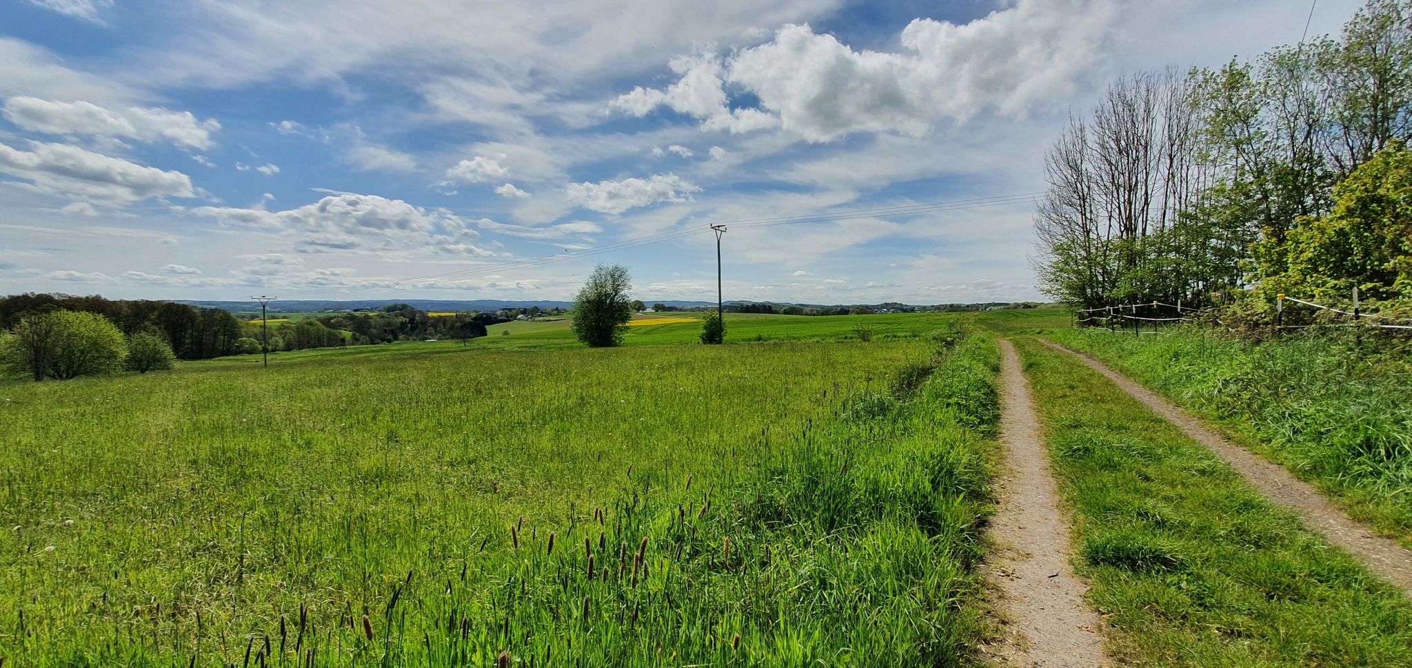 Blick nach Sessenhausen