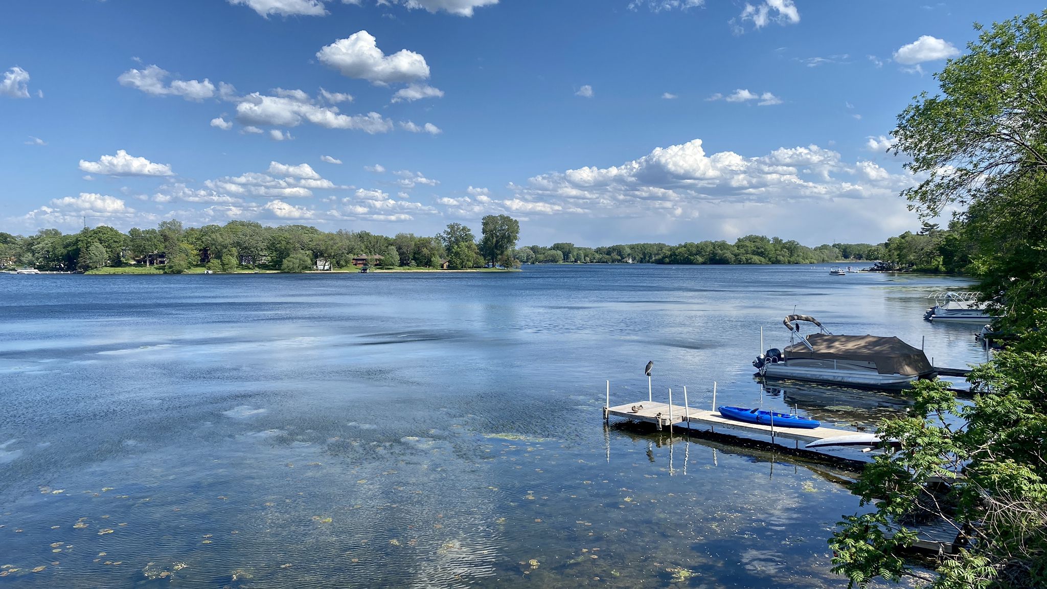 Expansive lake with boats docked, under a bright blue sky. - Medicine Lake, Luce Line Regional Trail, and French Regional Park Loop