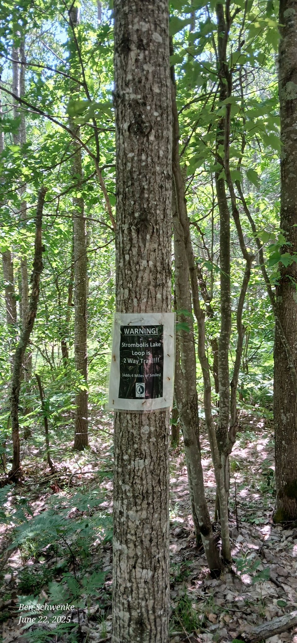 Warning sign attached to a tree trunk in a sun-dappled green forest. - Dollar Lake – Vasa Singletrack – Trailhead loop from The Gorge Nature Sanctuary