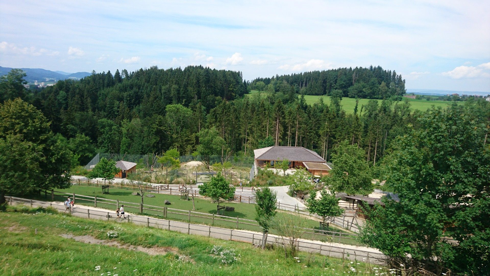 Walter Zoo Gossau
