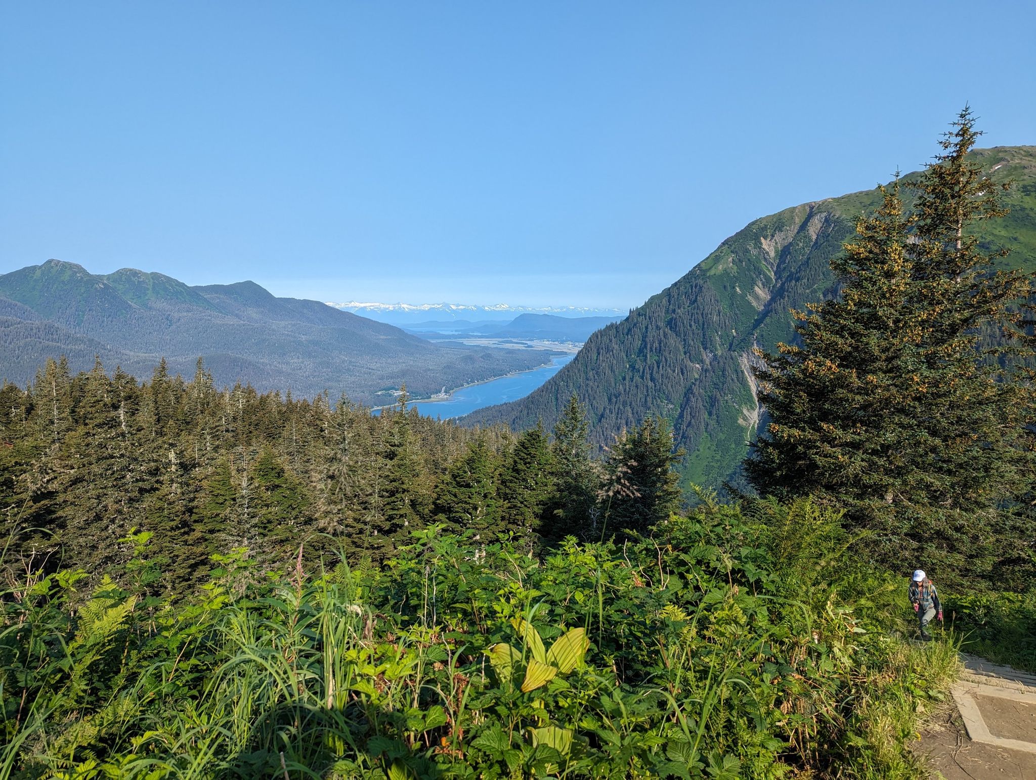 Lush green mountains and forest overlook a distant bay under clear skies. - Goldbelt Tram to Gastineau Peak