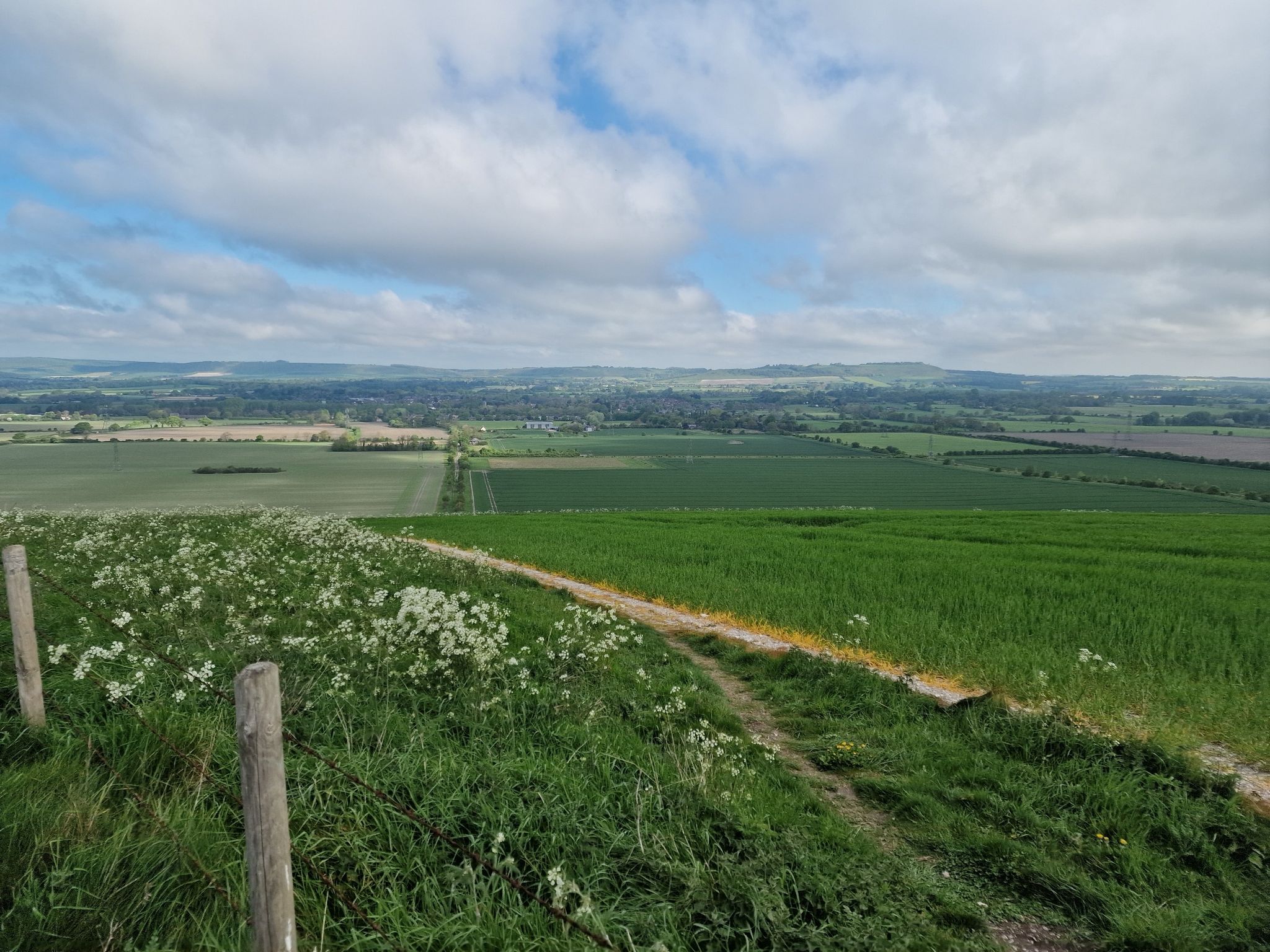 View
