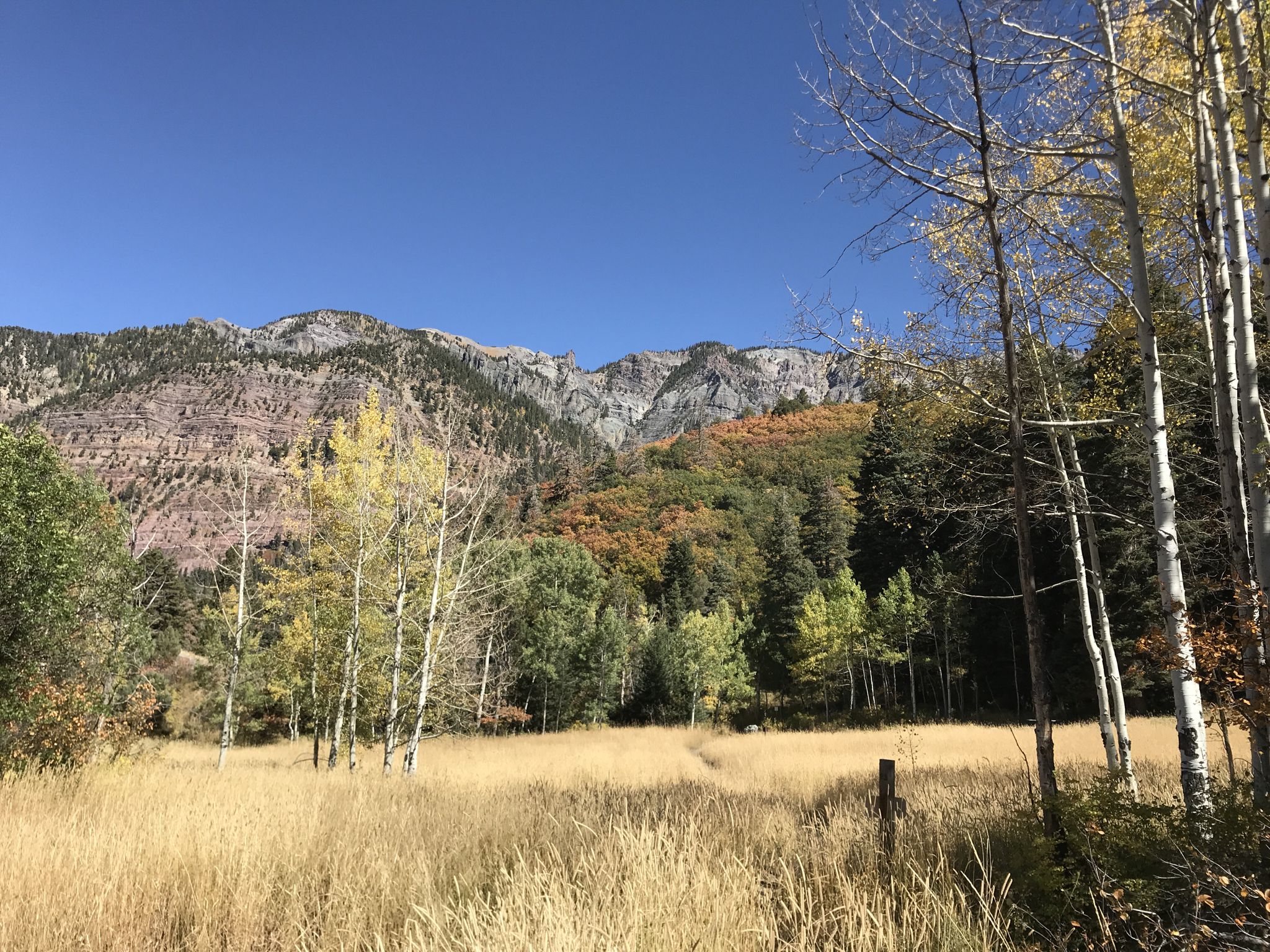 Mountain range above a golden meadow with autumn trees, bright daylight. - Ouray Perimeter Trail