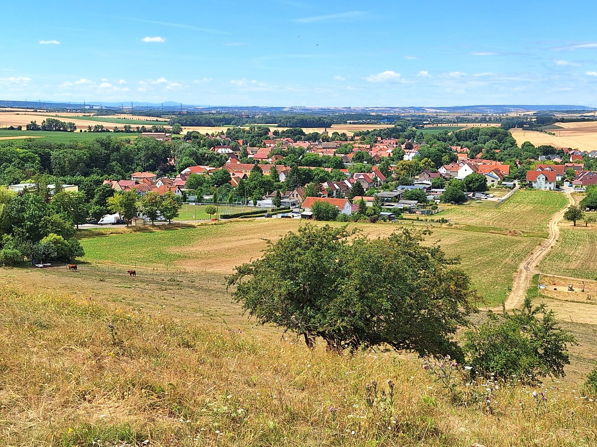 Blick auf Niederzimmer vom Wartenberg