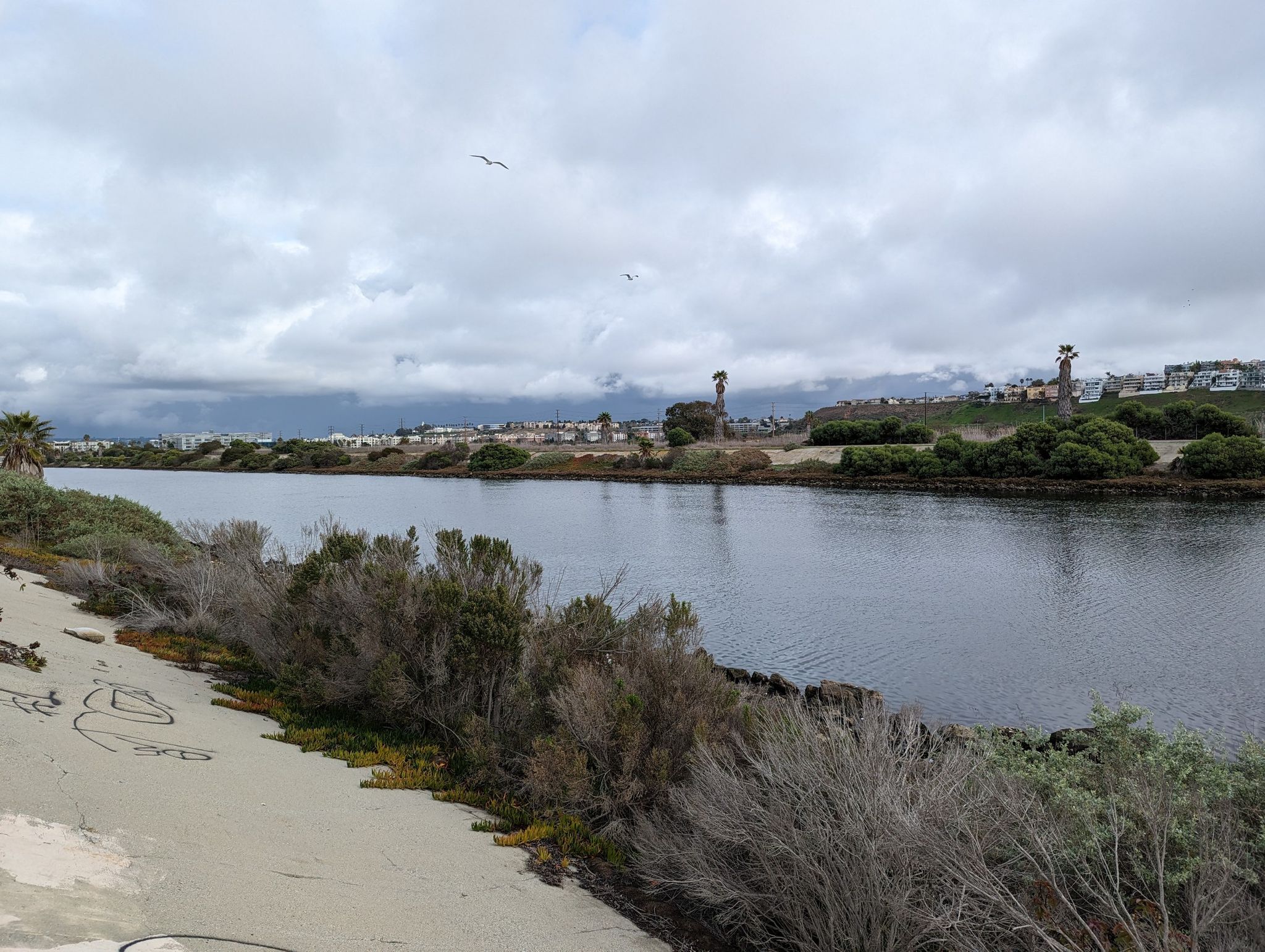 A wide canal with sandy banks and distant buildings under a cloudy sky. - Ballona Creek Bike Path – Ballona Creek Bike Path loop from 26th Street/Bergamot