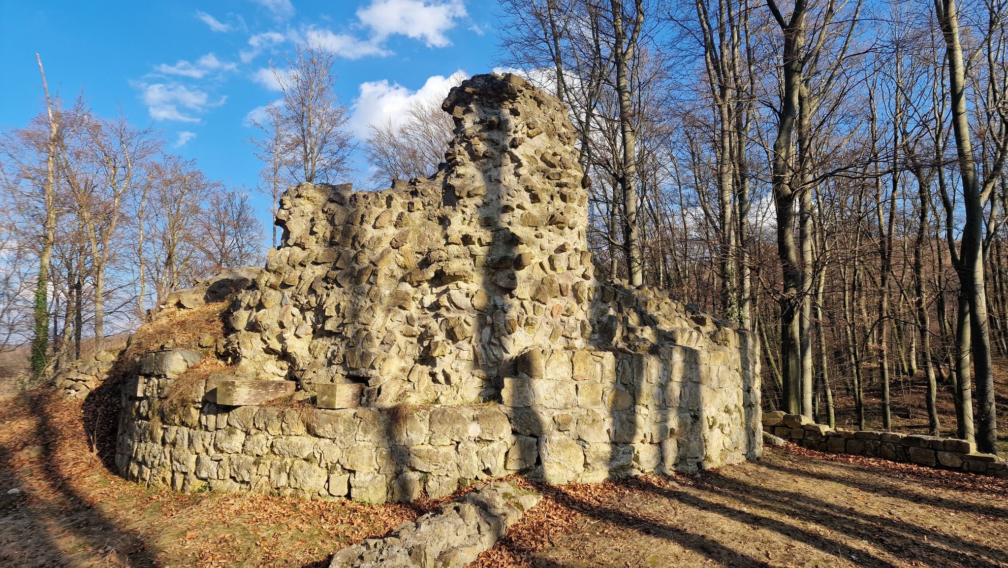 Burgruine Ried