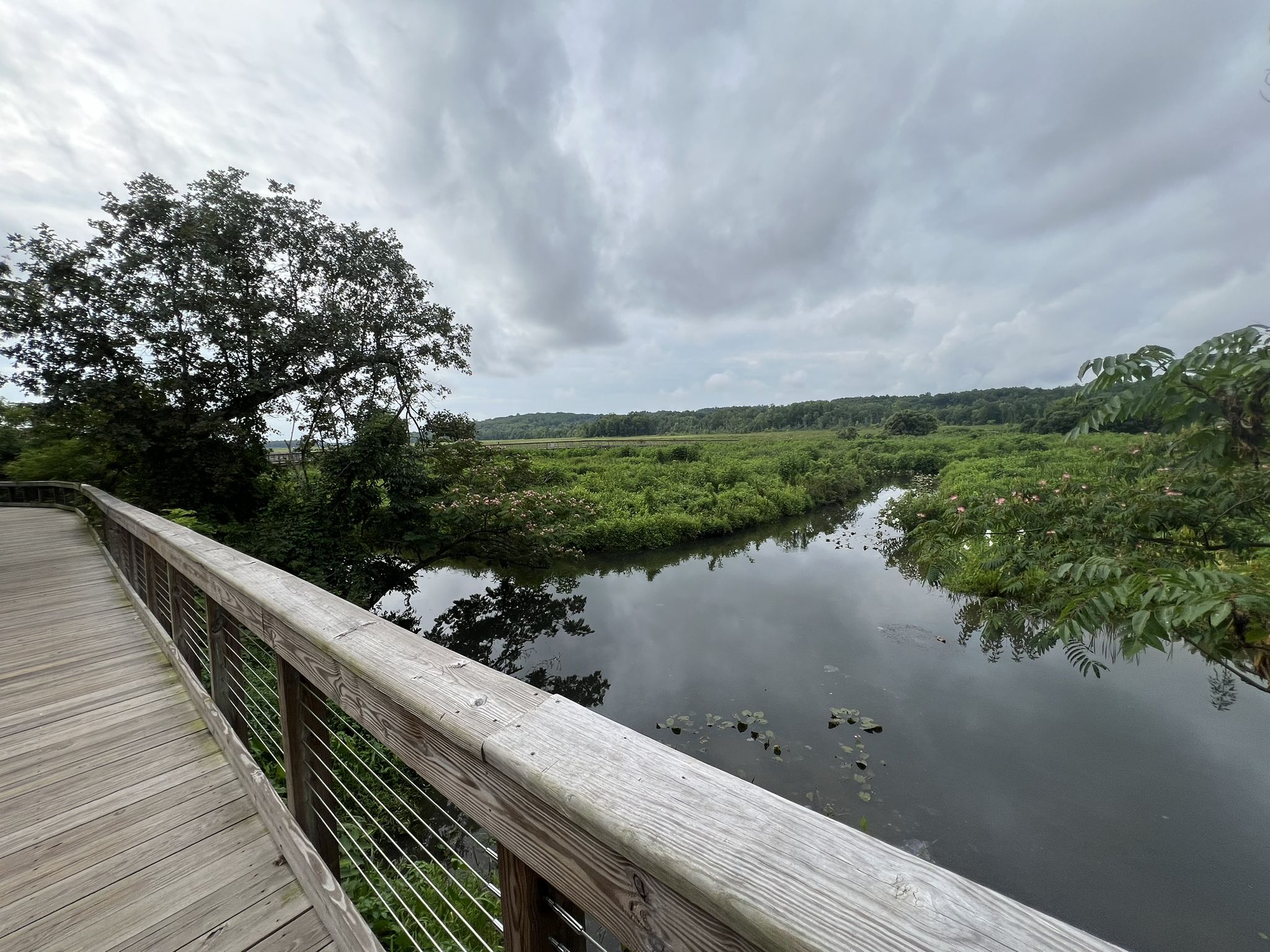 Wooden boardwalk overlooking a winding river through dense marshland under cloudy sky. - Prince William Forest Park & Neabsco Creek Boardwalk loop