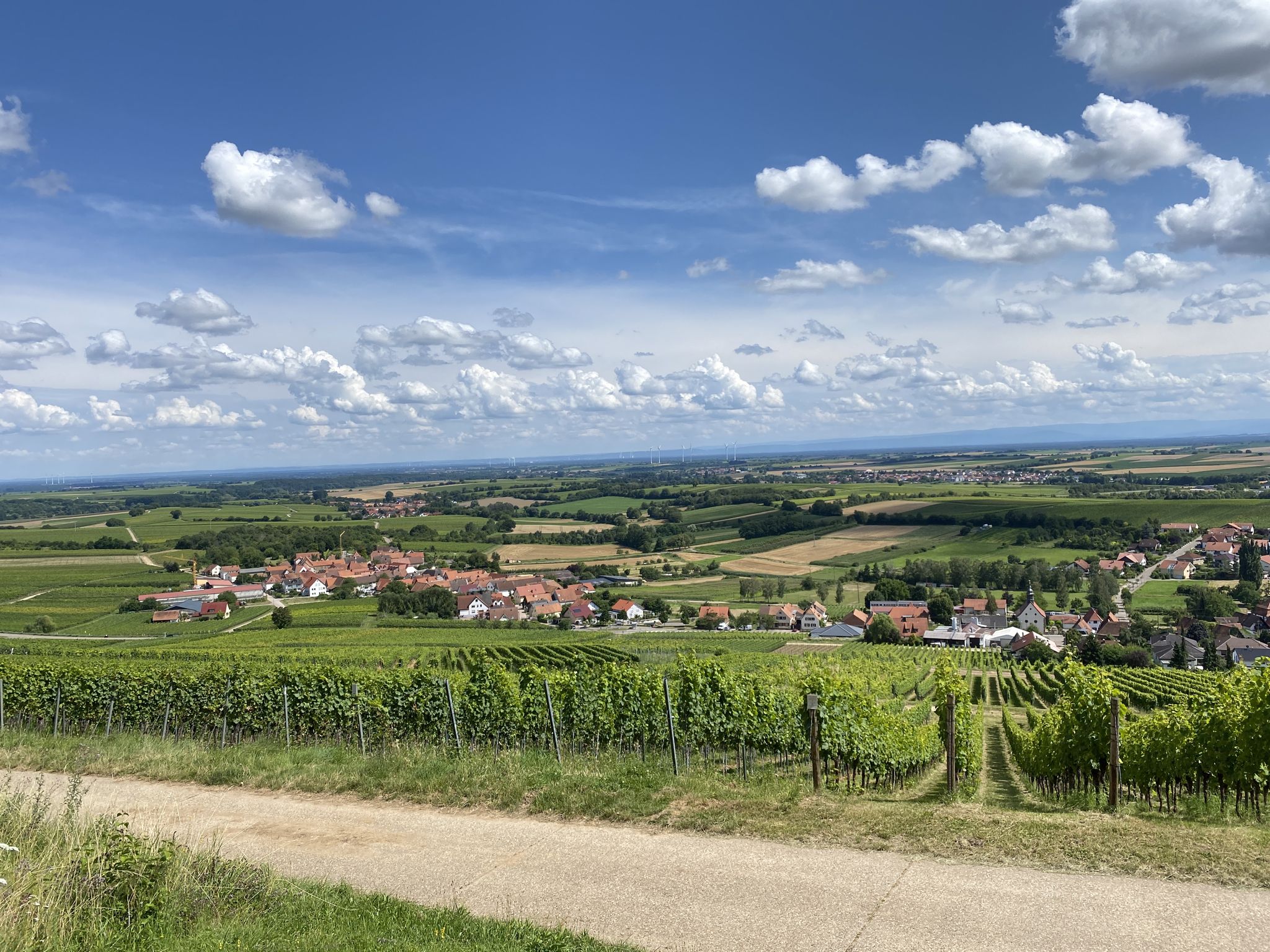 Blick auf Pleisweiler-Oberhofen