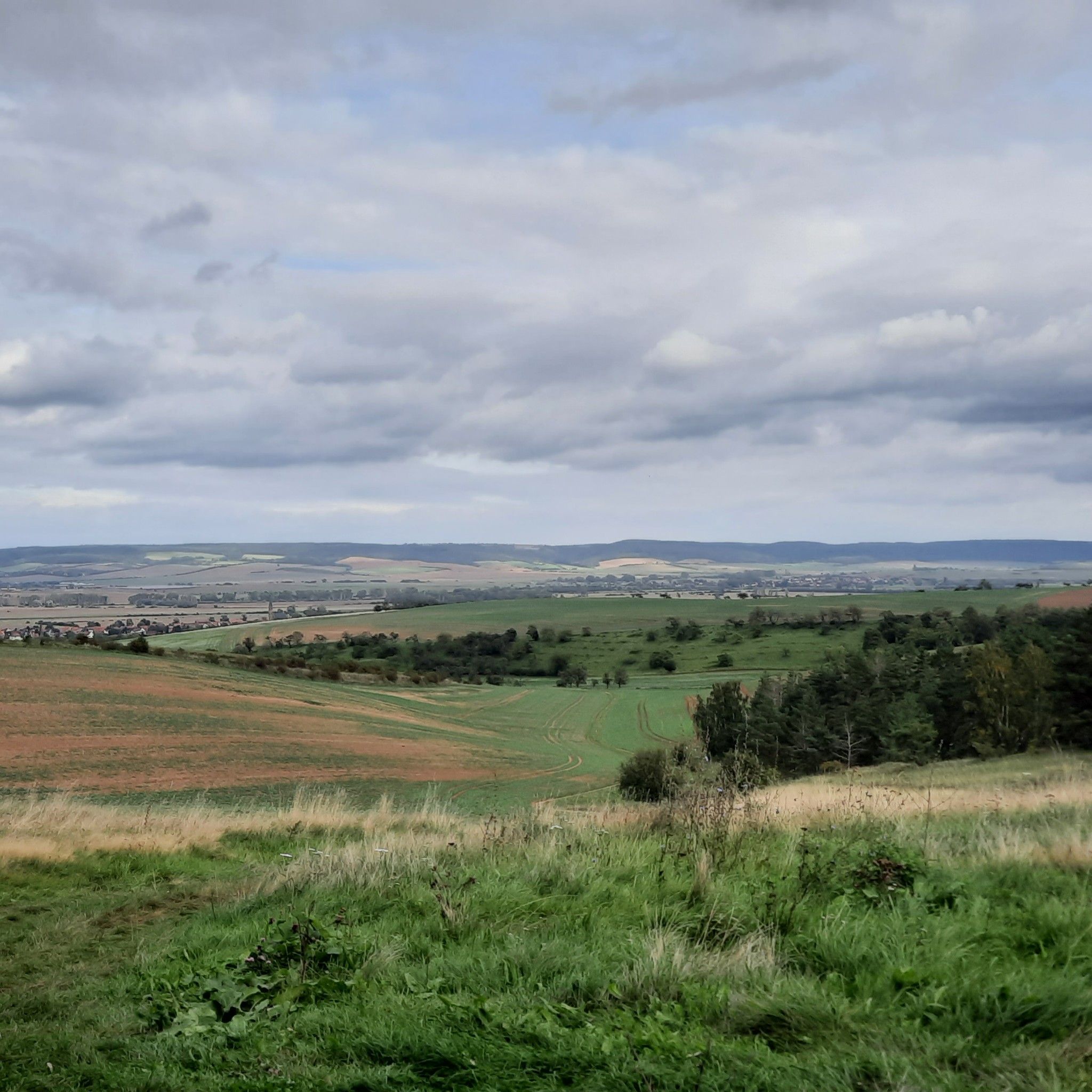 Weitblick