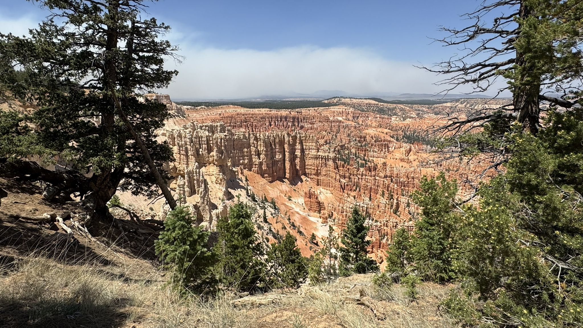 Panoramic view of a vast canyon filled with red rock formations and green trees. - Bryce Point to Sunset Point Trail