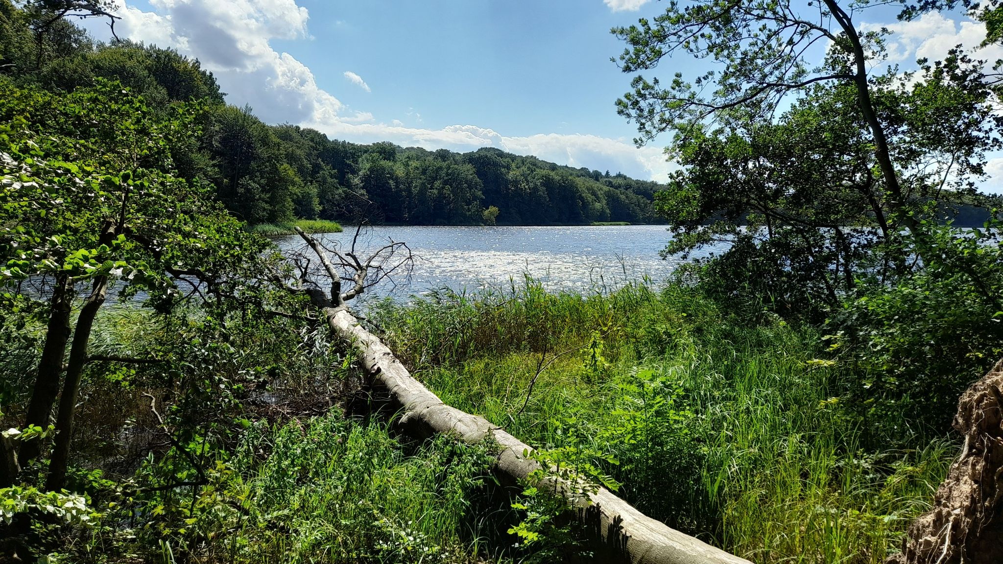 Ukleisee