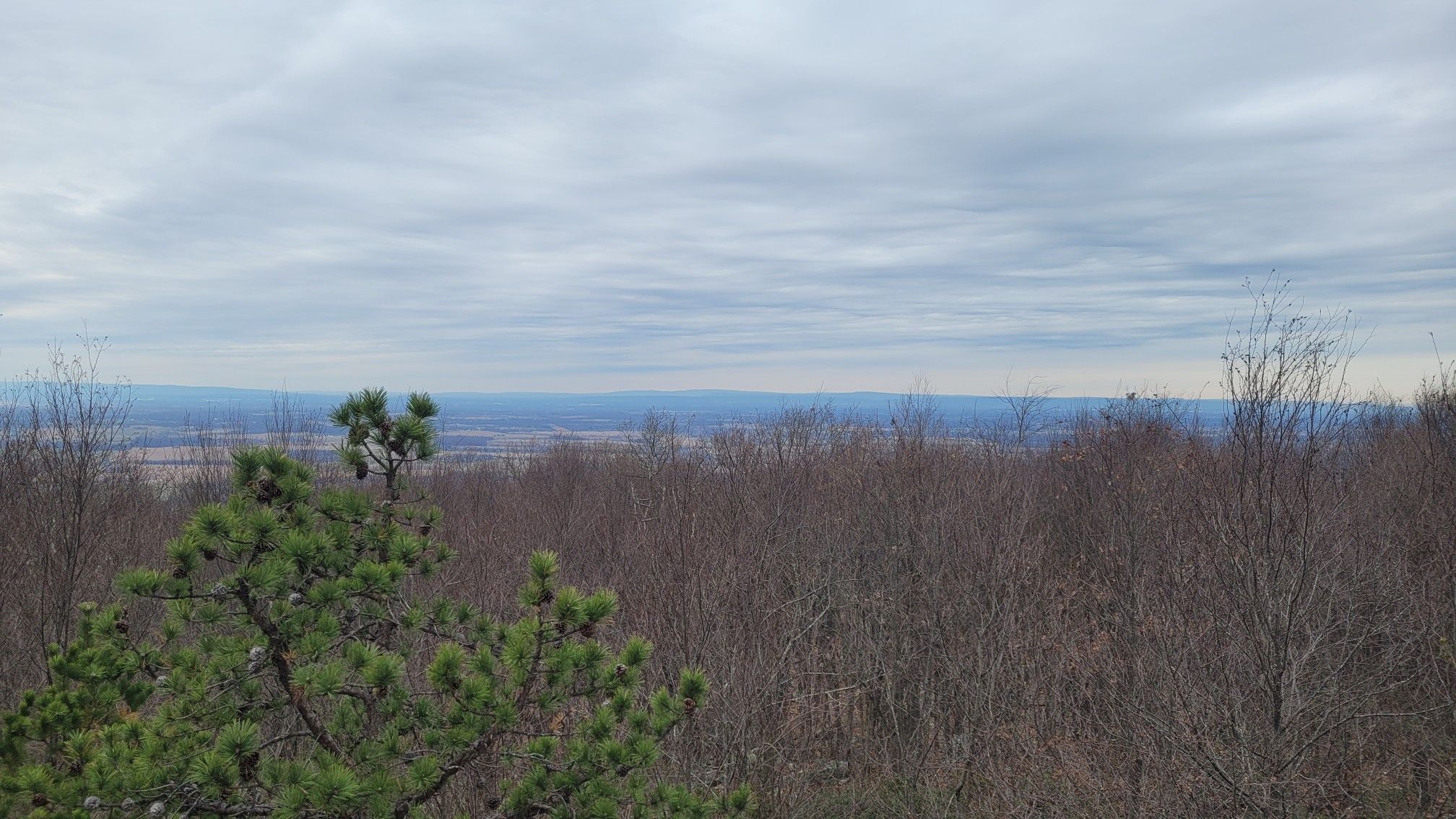 Expansive view over a winter landscape with bare trees and distant hills. - Blackburn Trail Center to Feather Top Knob via Appalachian Trail