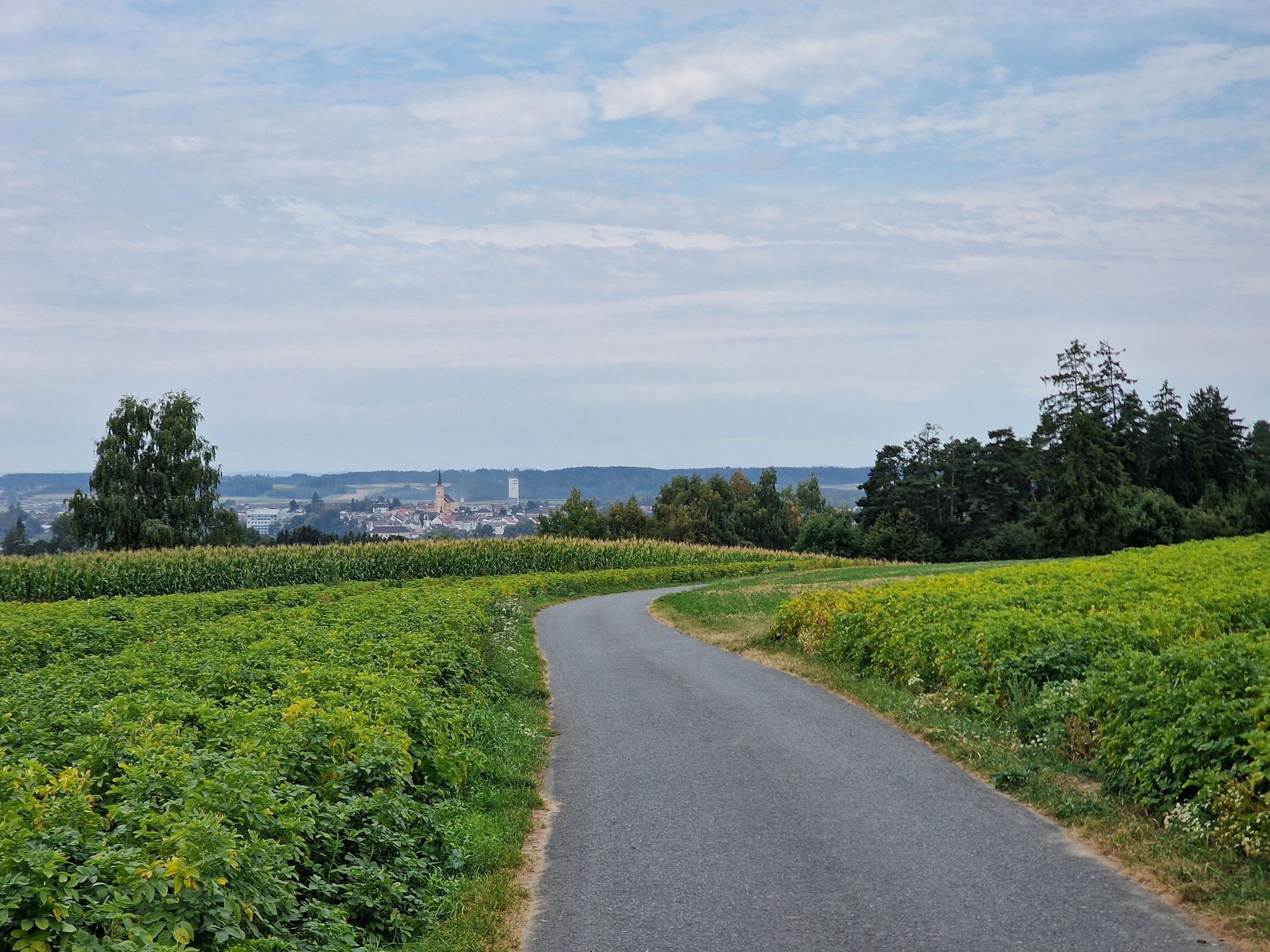 Blick auf Waidhofen